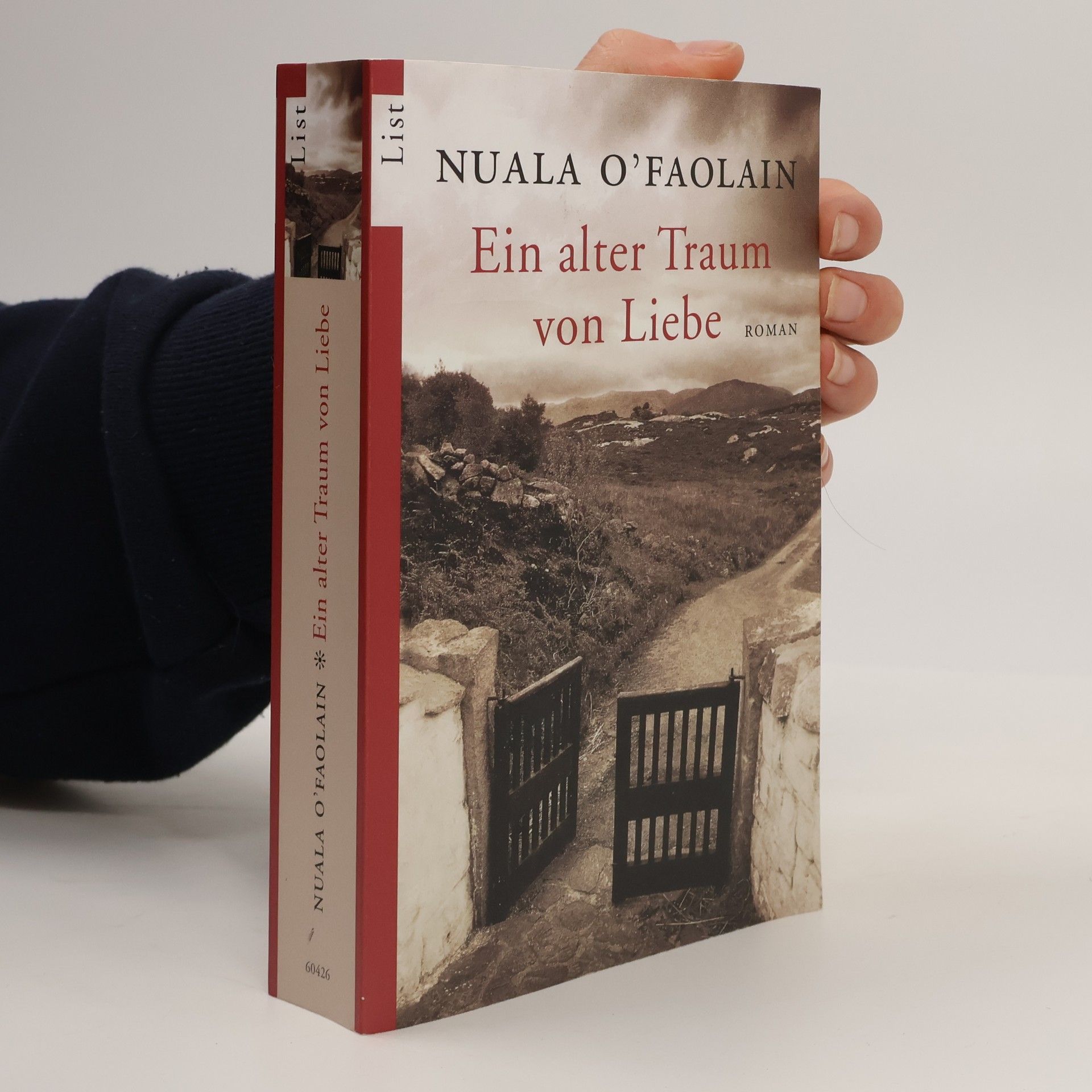 Nuala O. Faolain Ein alter Traum von Liebe