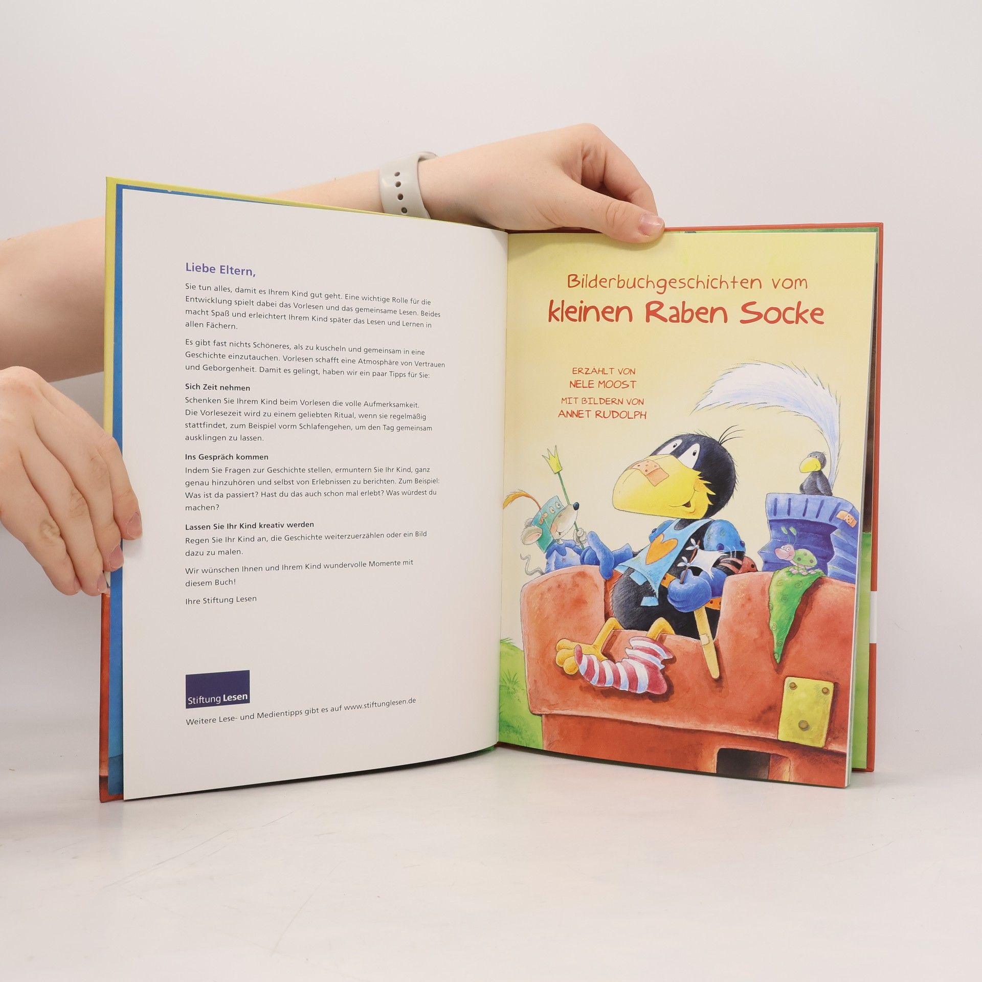 Nele Moost Bilderbuchgeschichten vom kleinen Raben Socke