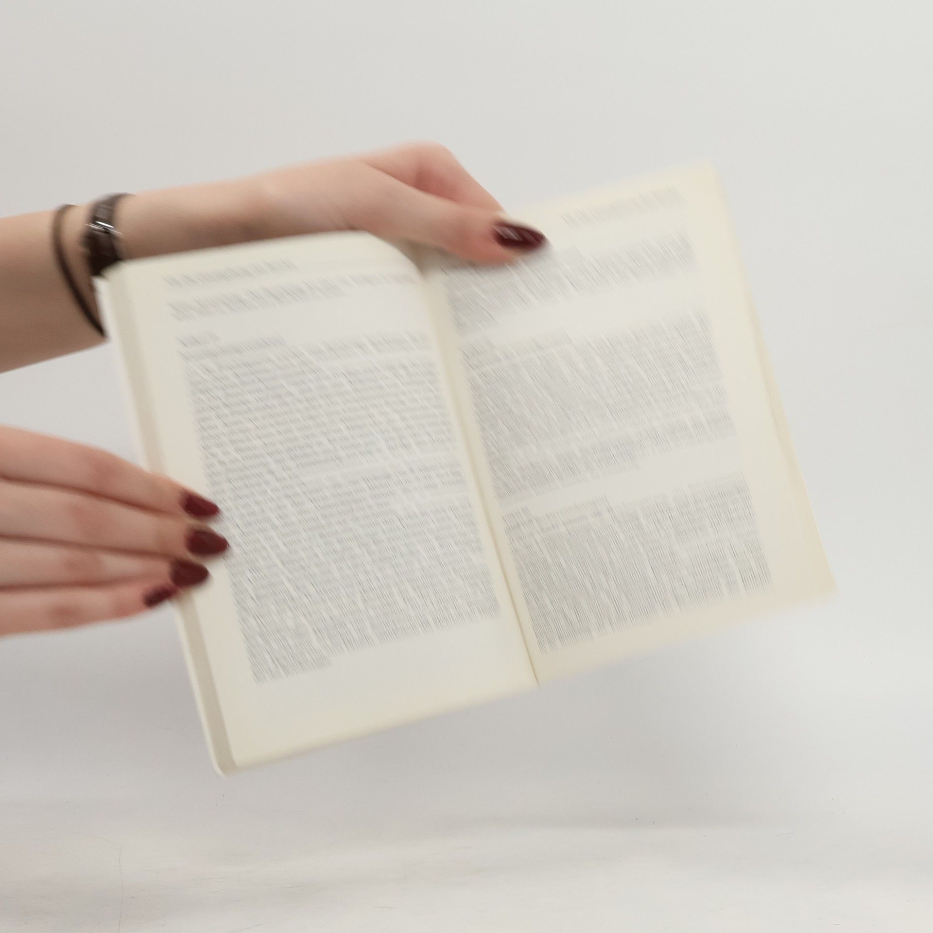 Autores varios Grundgesetz für die Bundesrepublik Deutschland
