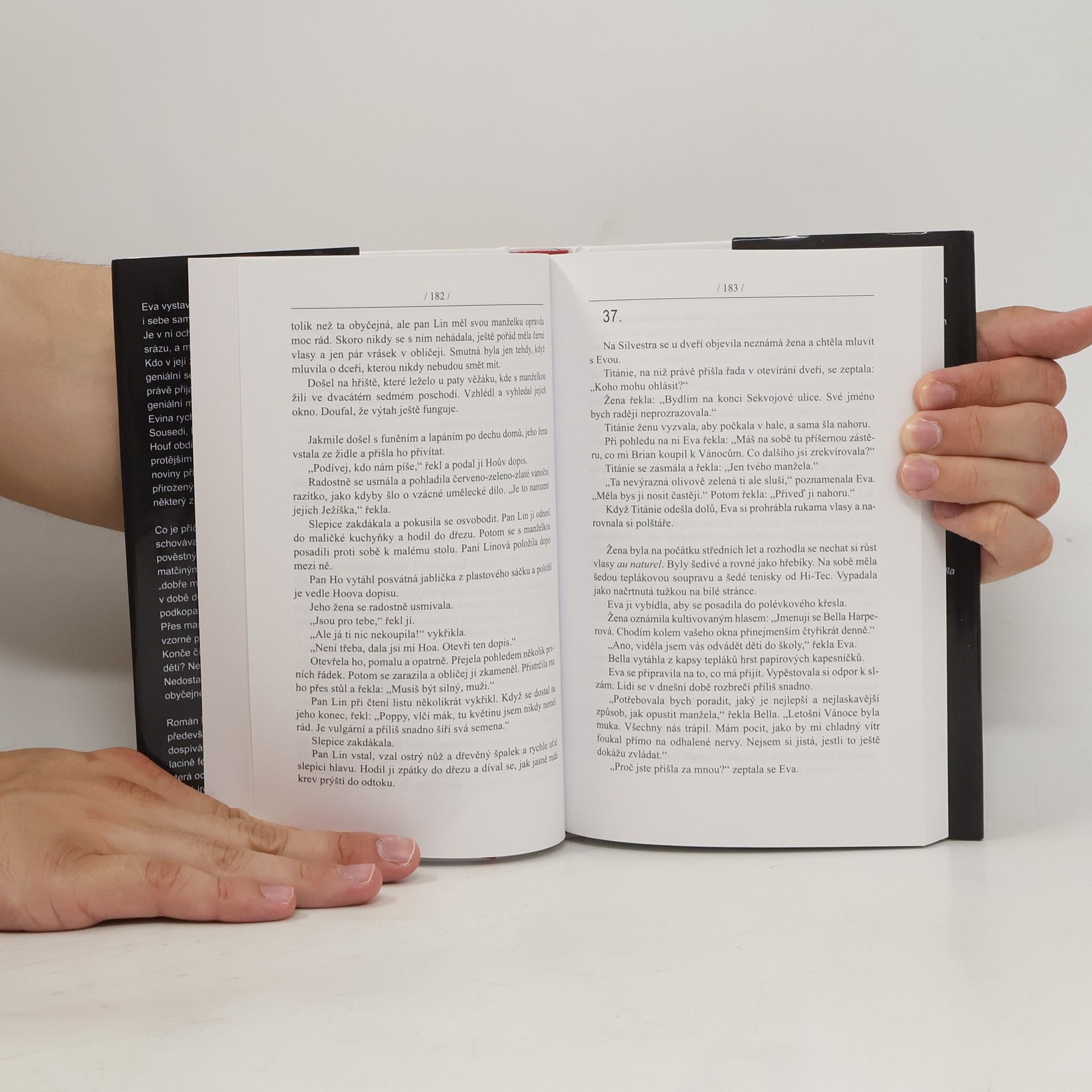 Sue Townsend Žena, která si šla lehnout a rok nevstala