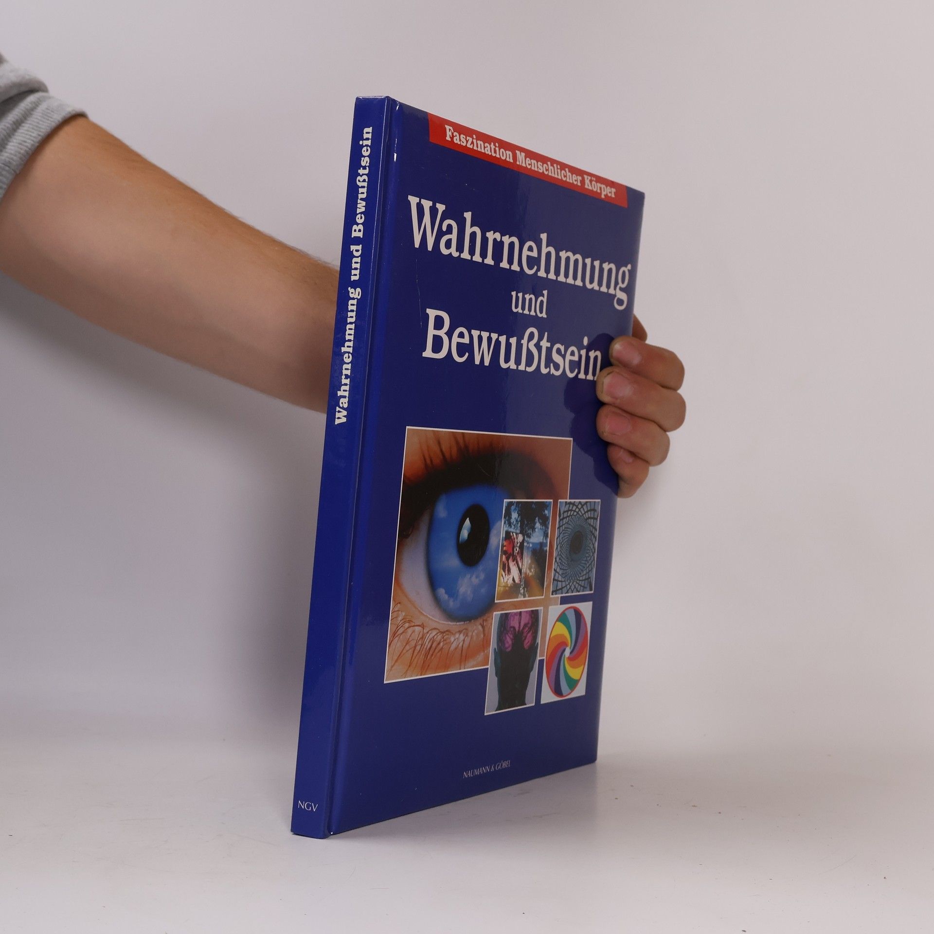 Wahrnehmung und Bewußtsein