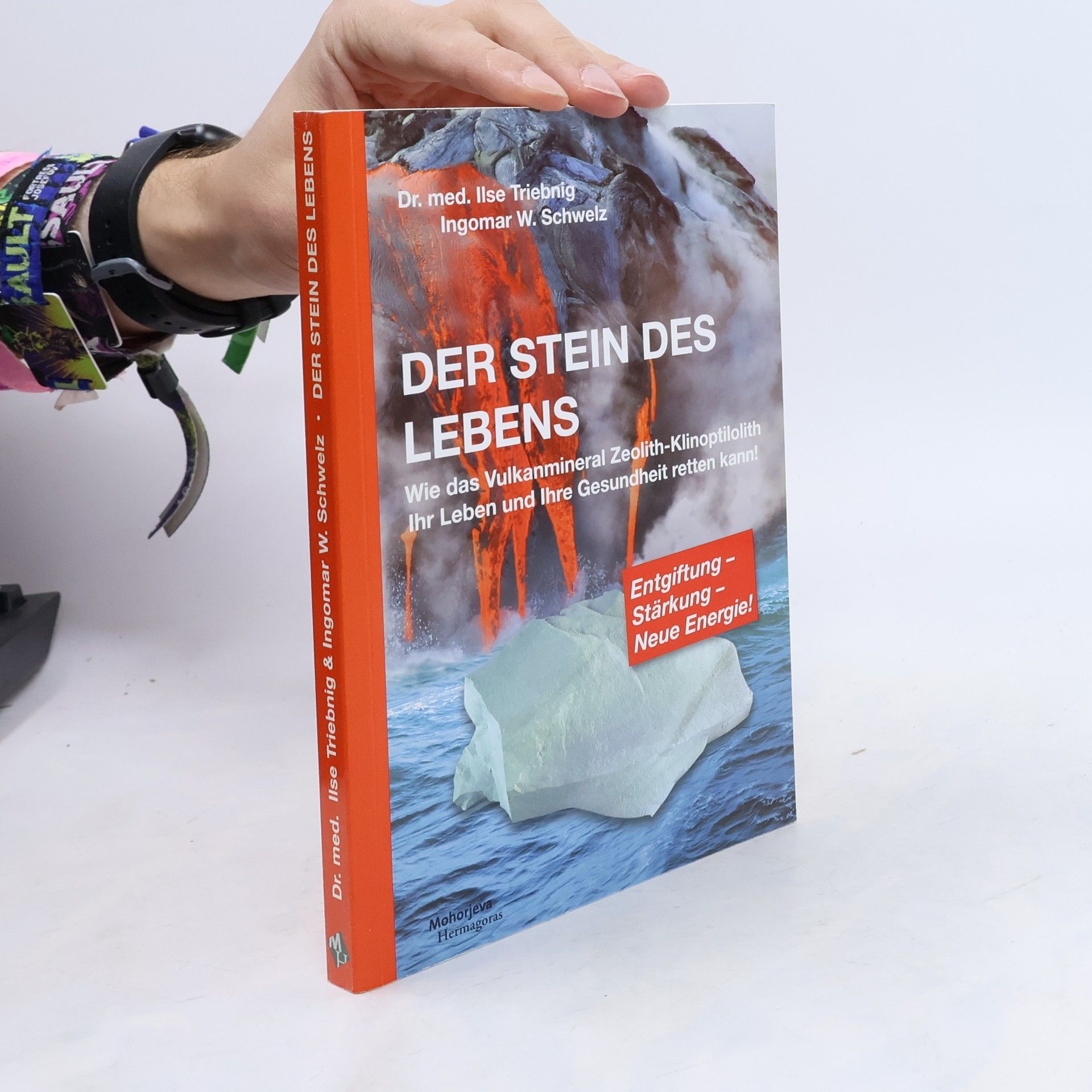 Ilse Triebnig Der Stein des Lebens