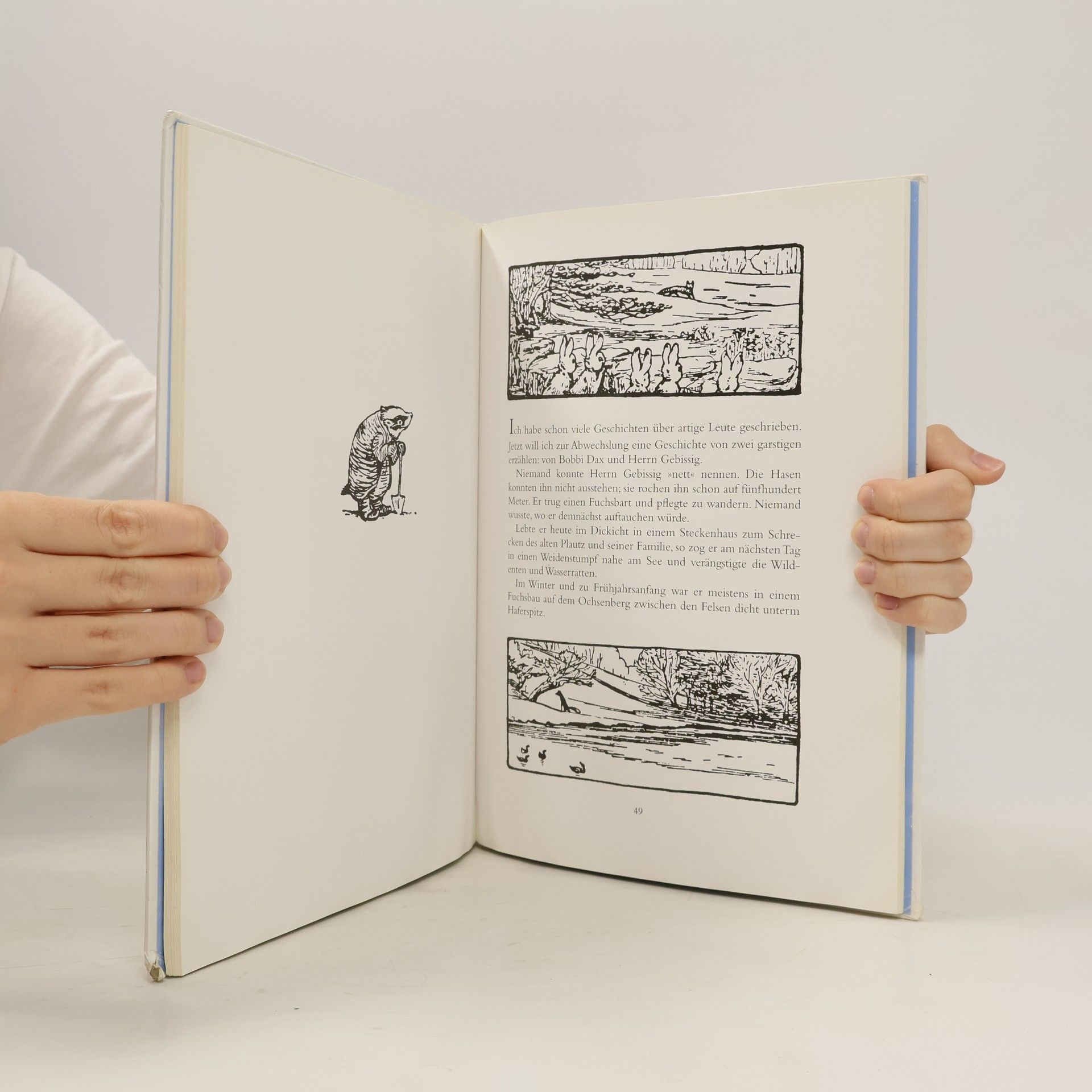 Beatrix Potter Die gesammelten Abenteuer von Peter Hase