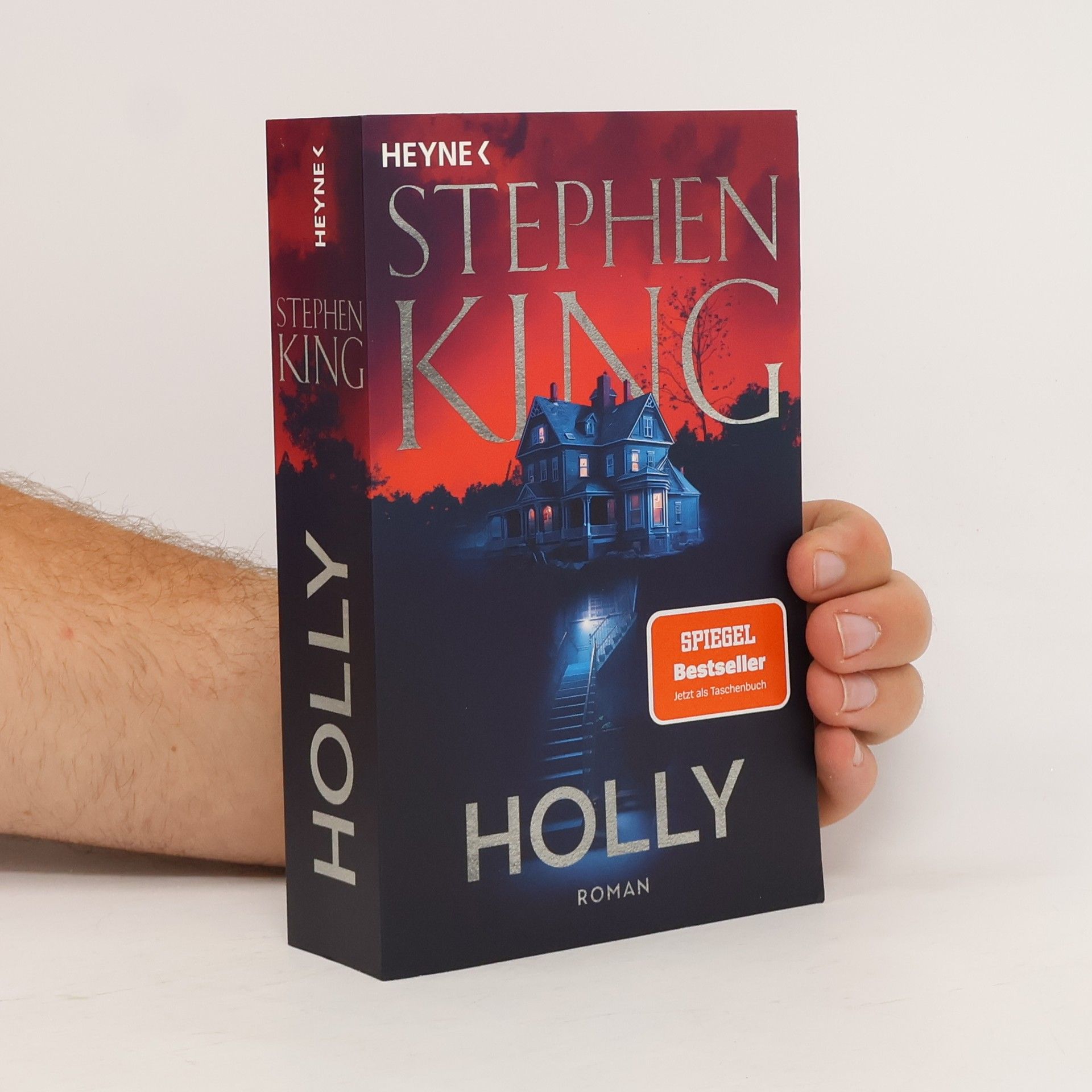Stephen King Holly