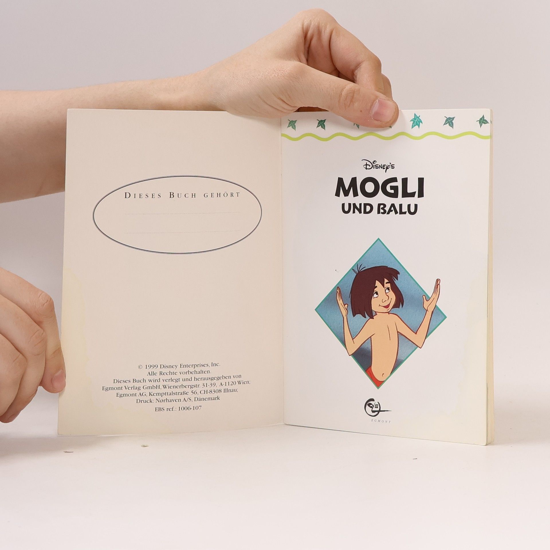 Autorenkollektiv Mogli und Balu