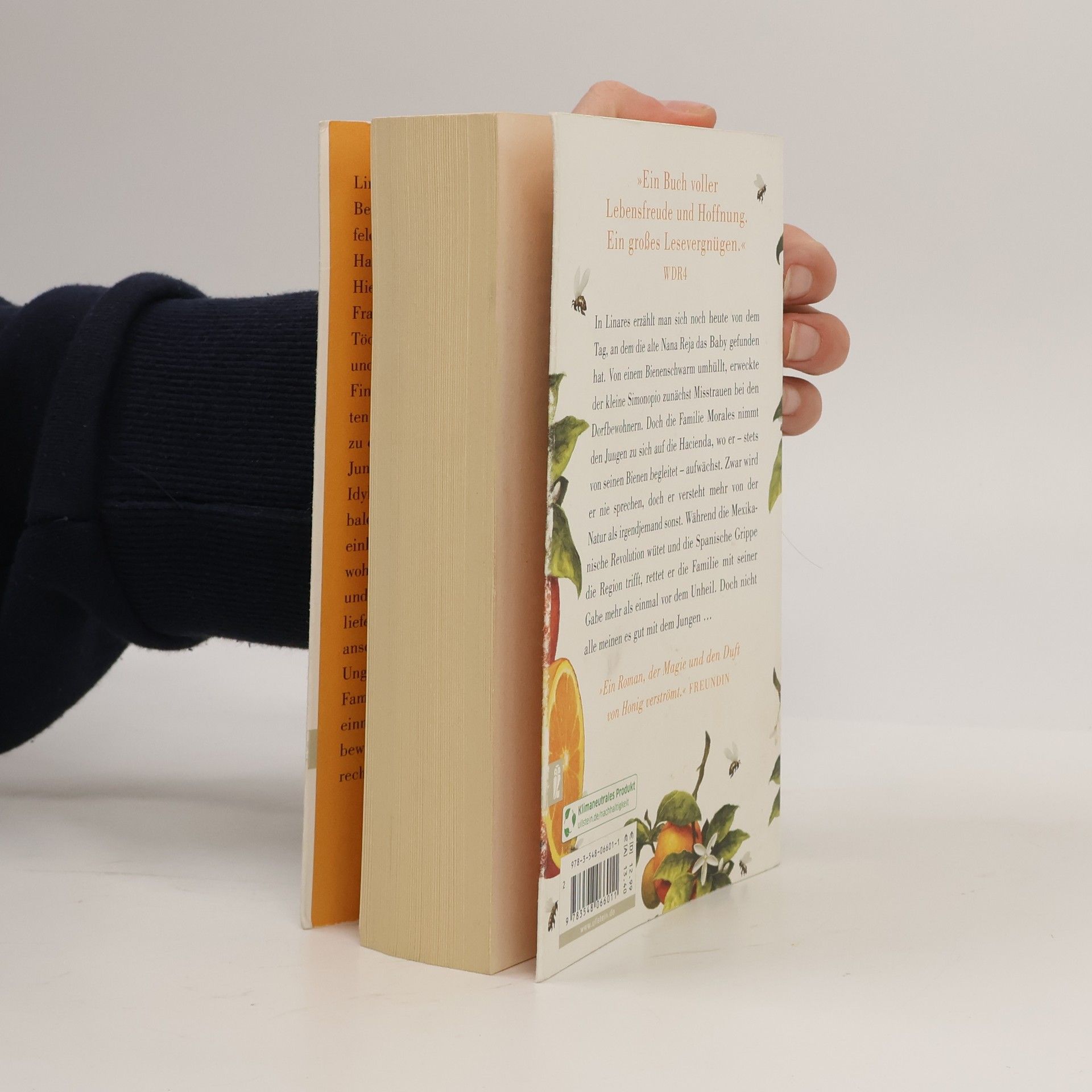 Sofía Segovia Das Flüstern der Bienen