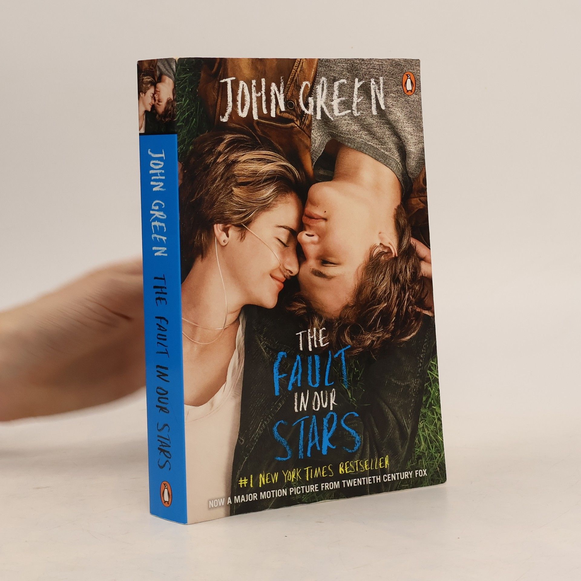 Frances Brassington, Stephen Pettitt The Fault in Our Stars
