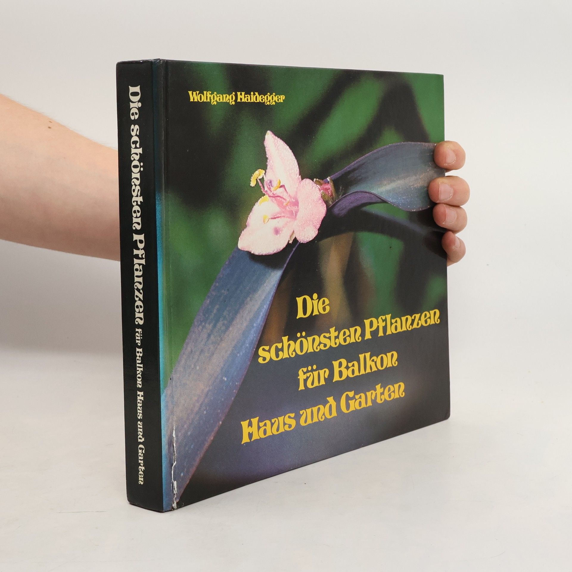 Wolfgang Haidegger Die schönsten Pflanzen für Balkon, Haus und Garten