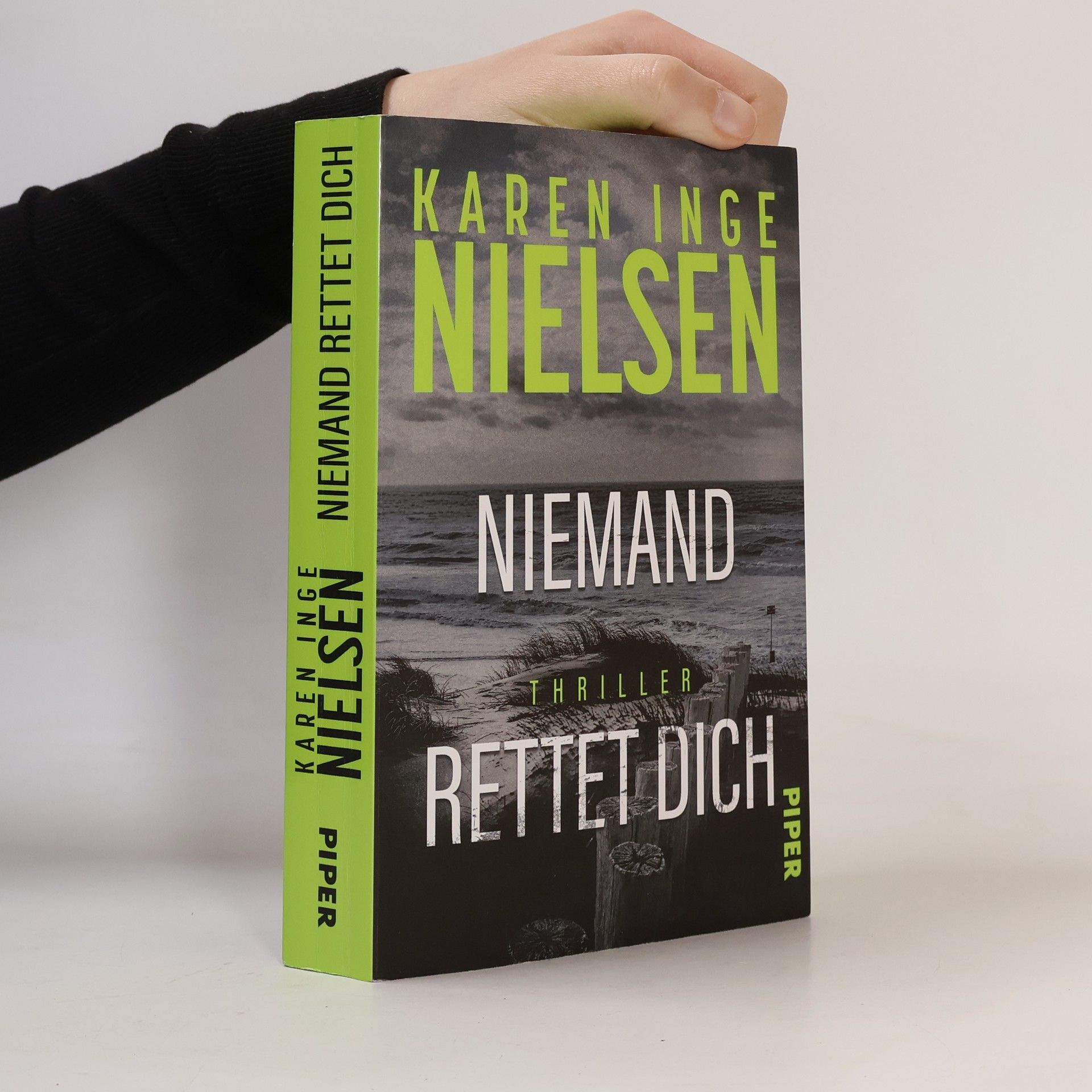 Karen Inge Nielsen Niemand rettet dich
