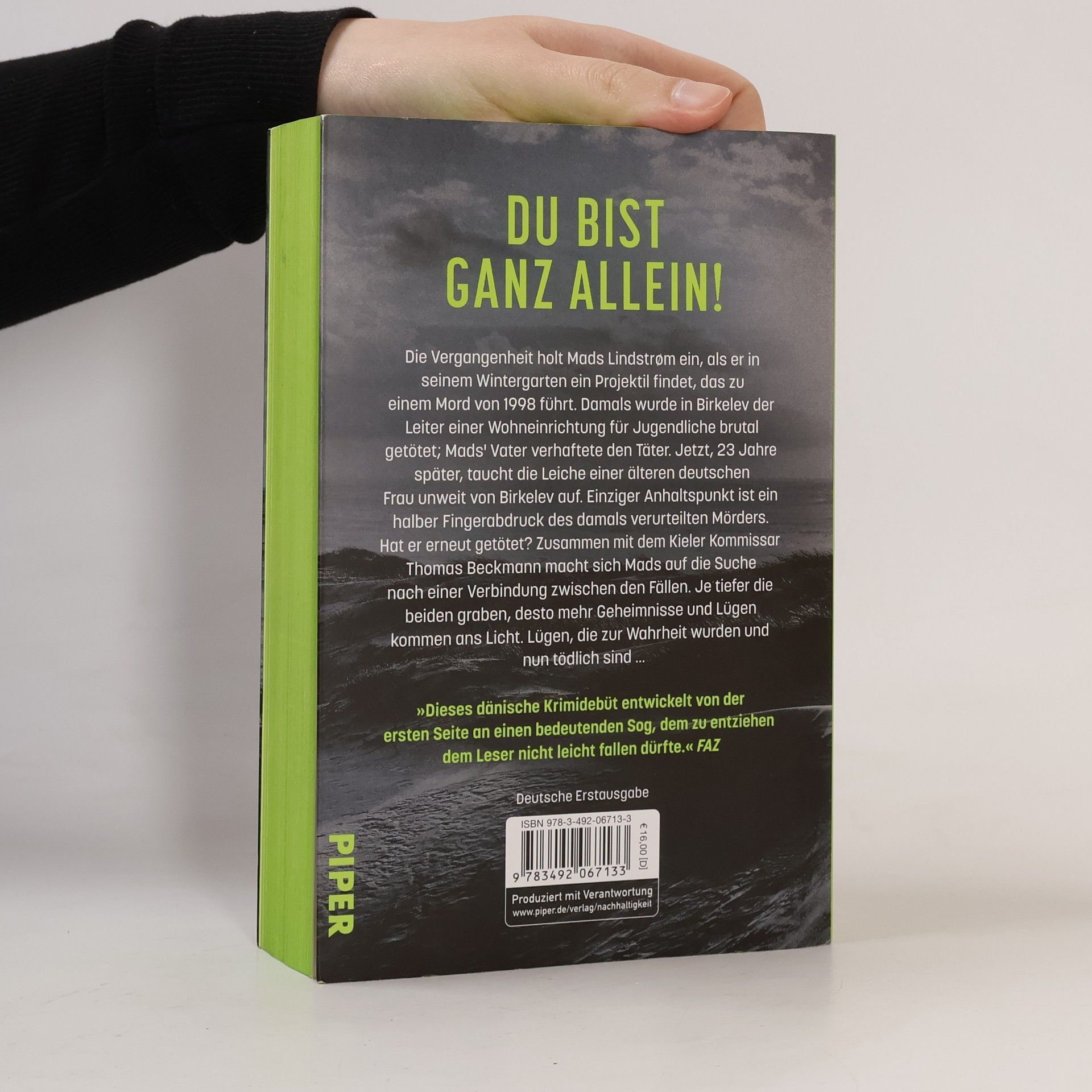 Karen Inge Nielsen Niemand rettet dich