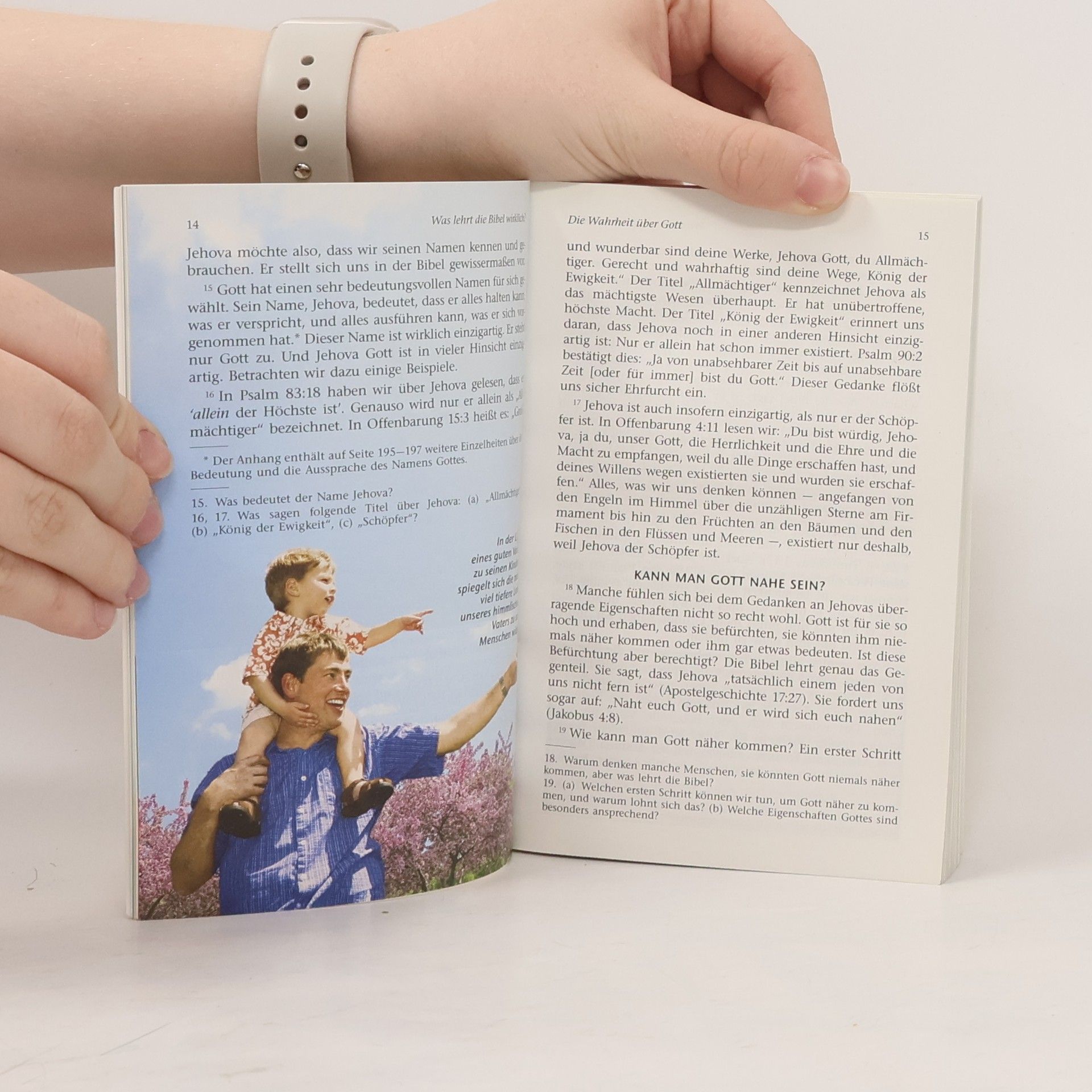 Autorenkollektiv Was lehrt die Bibel wirklich?