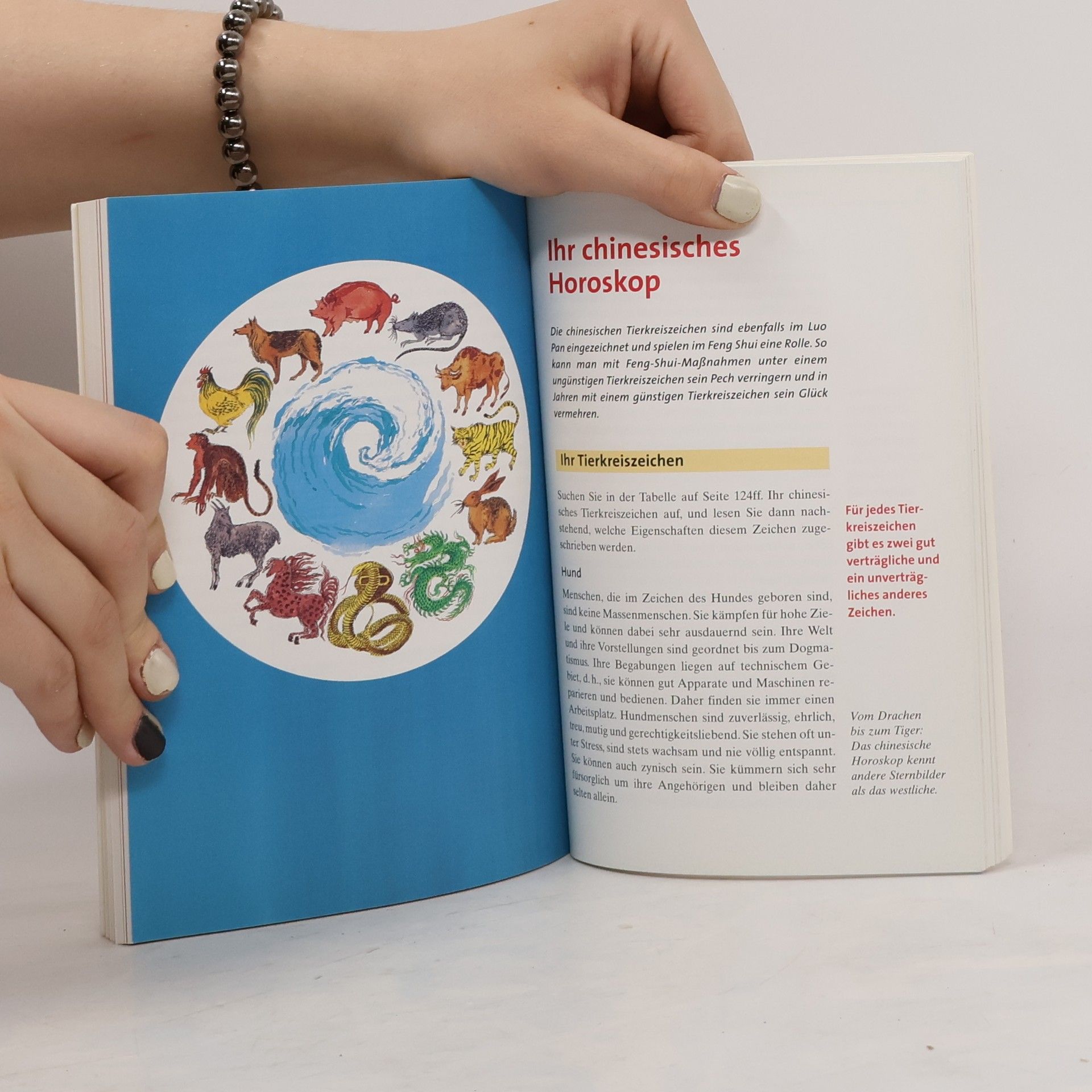 Karola Berger Karriere mit Feng Shui