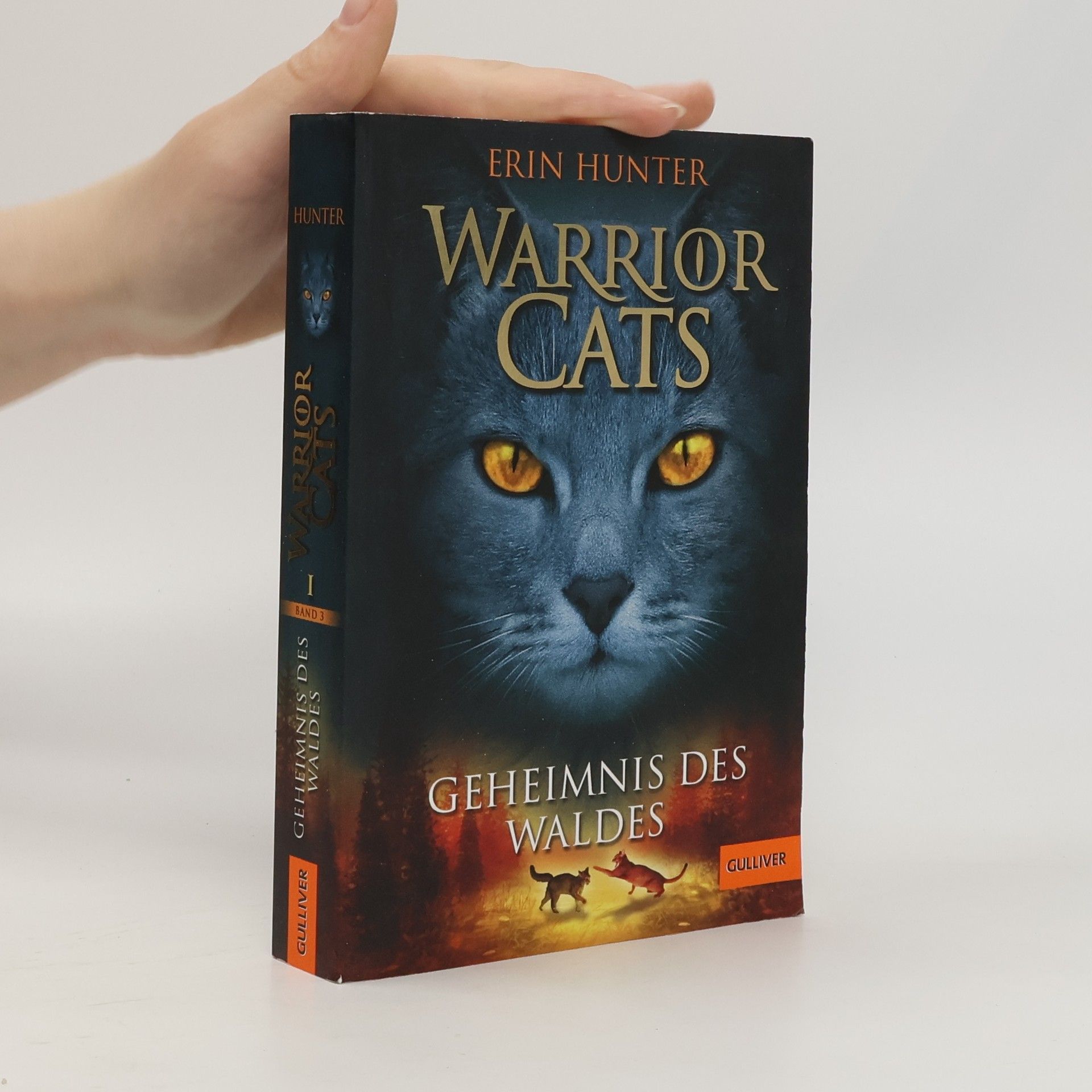 Warrior Cats. Geheimnis des Waldes