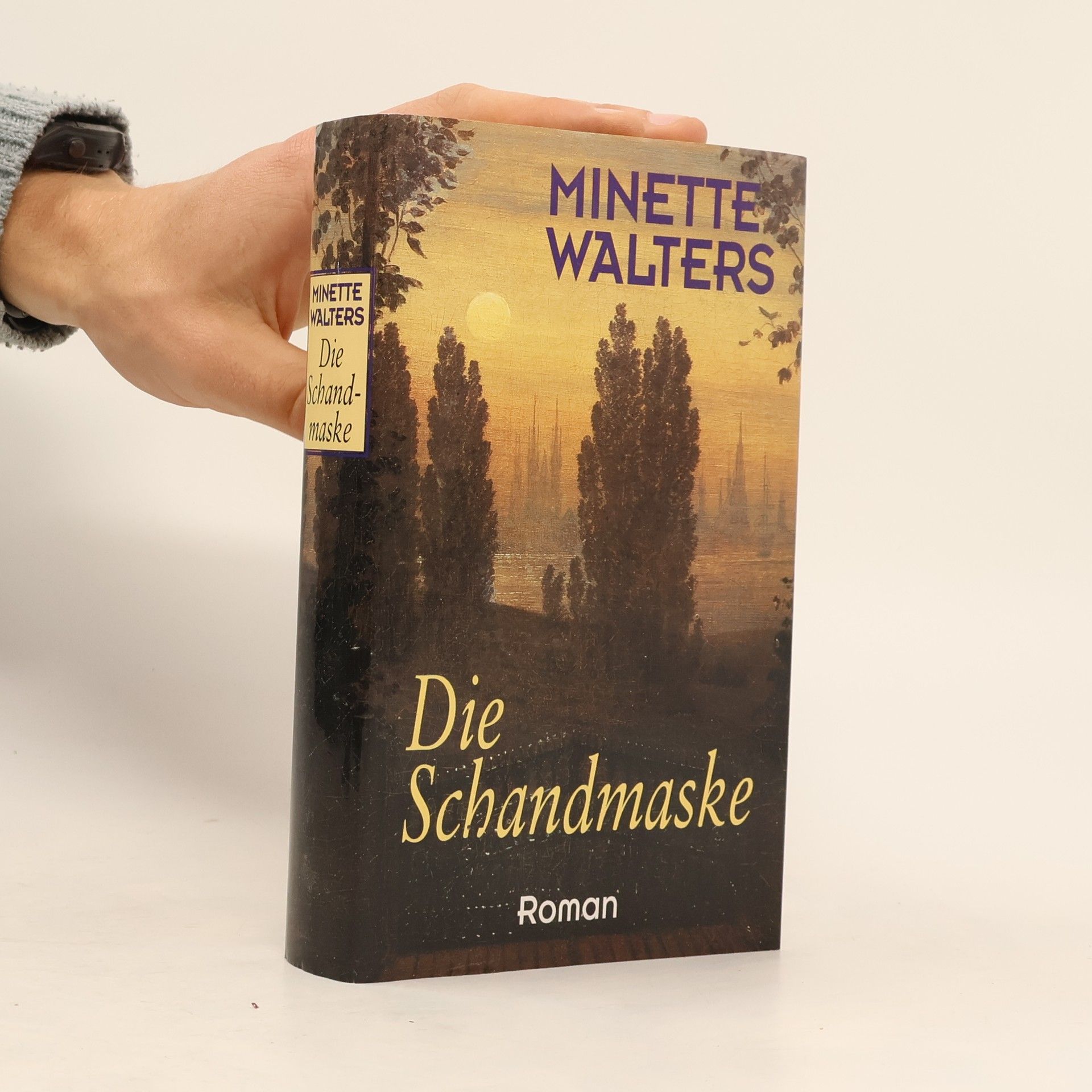 Minette Walter Die Schandmaske