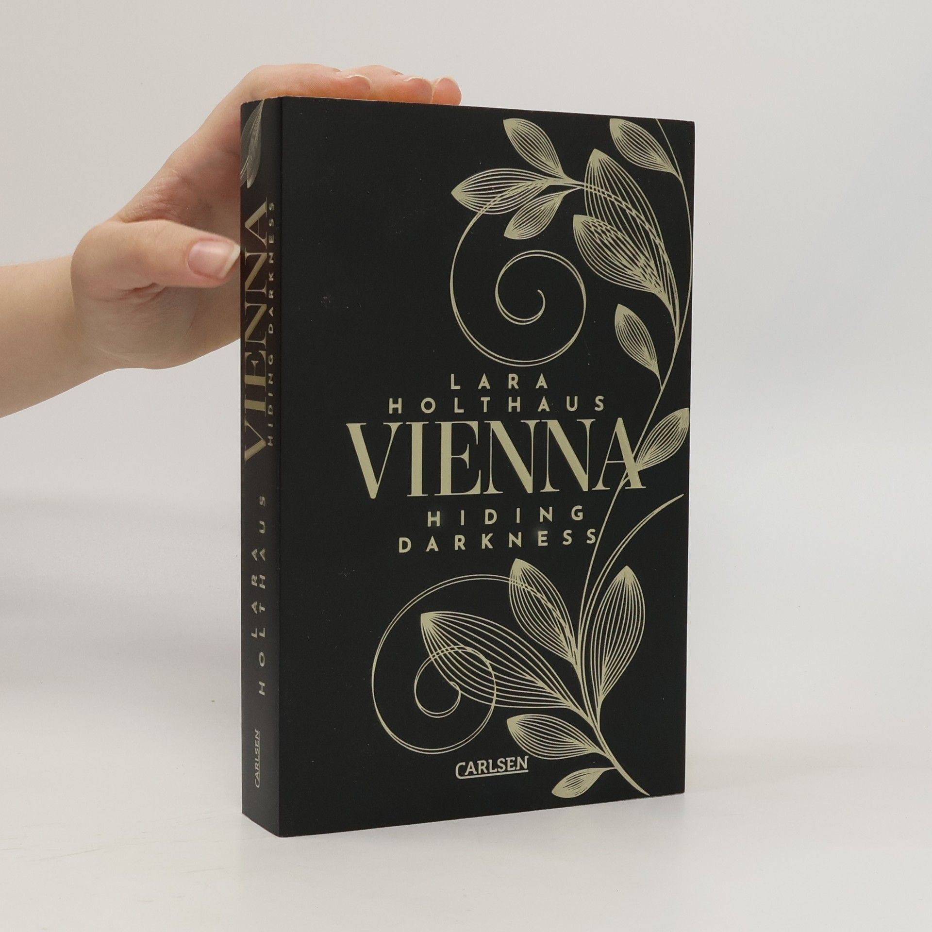 Lara Holthaus Vienna 2. Hiding Darkness