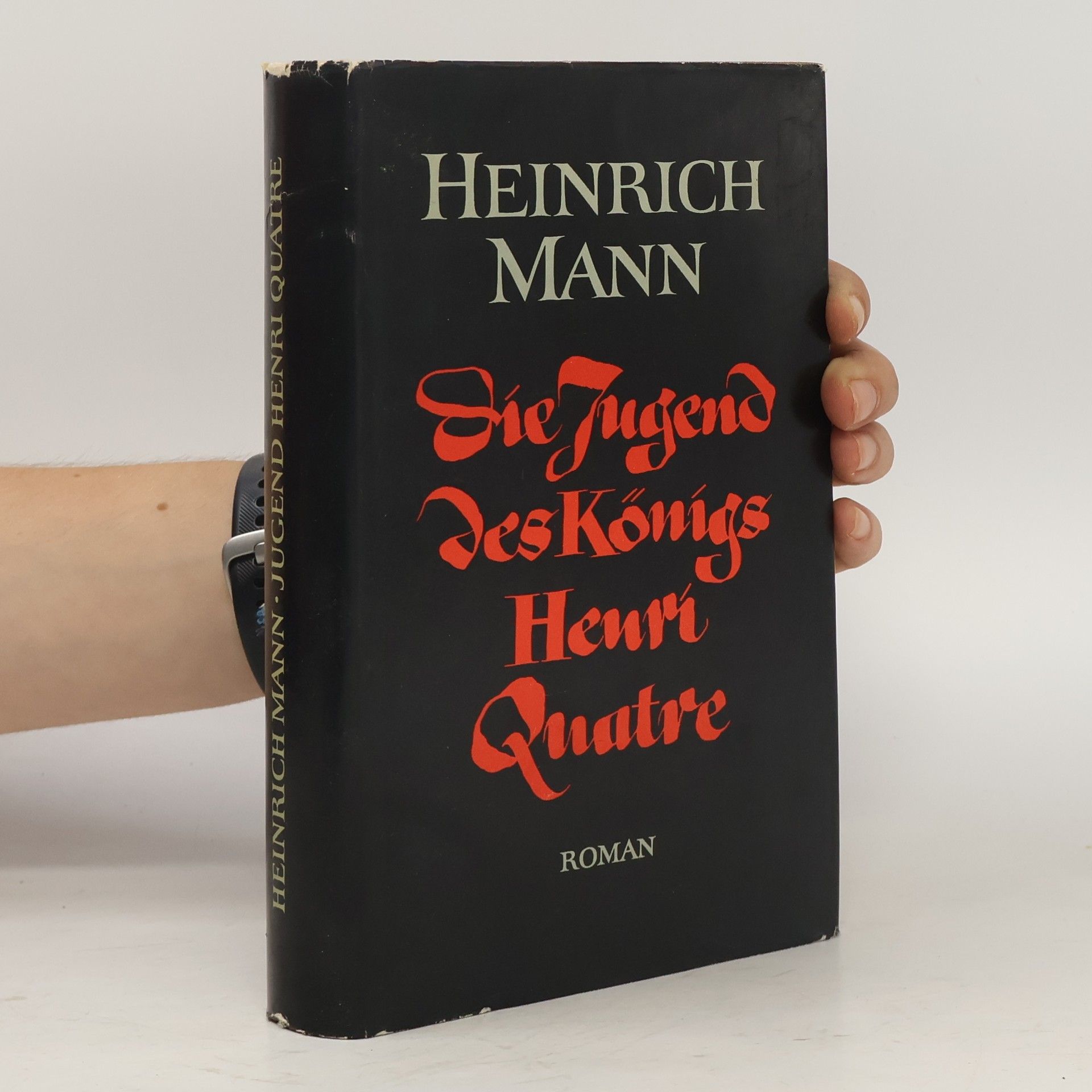 Heinrich Mann Die Jugend des Königs Henri Quatre