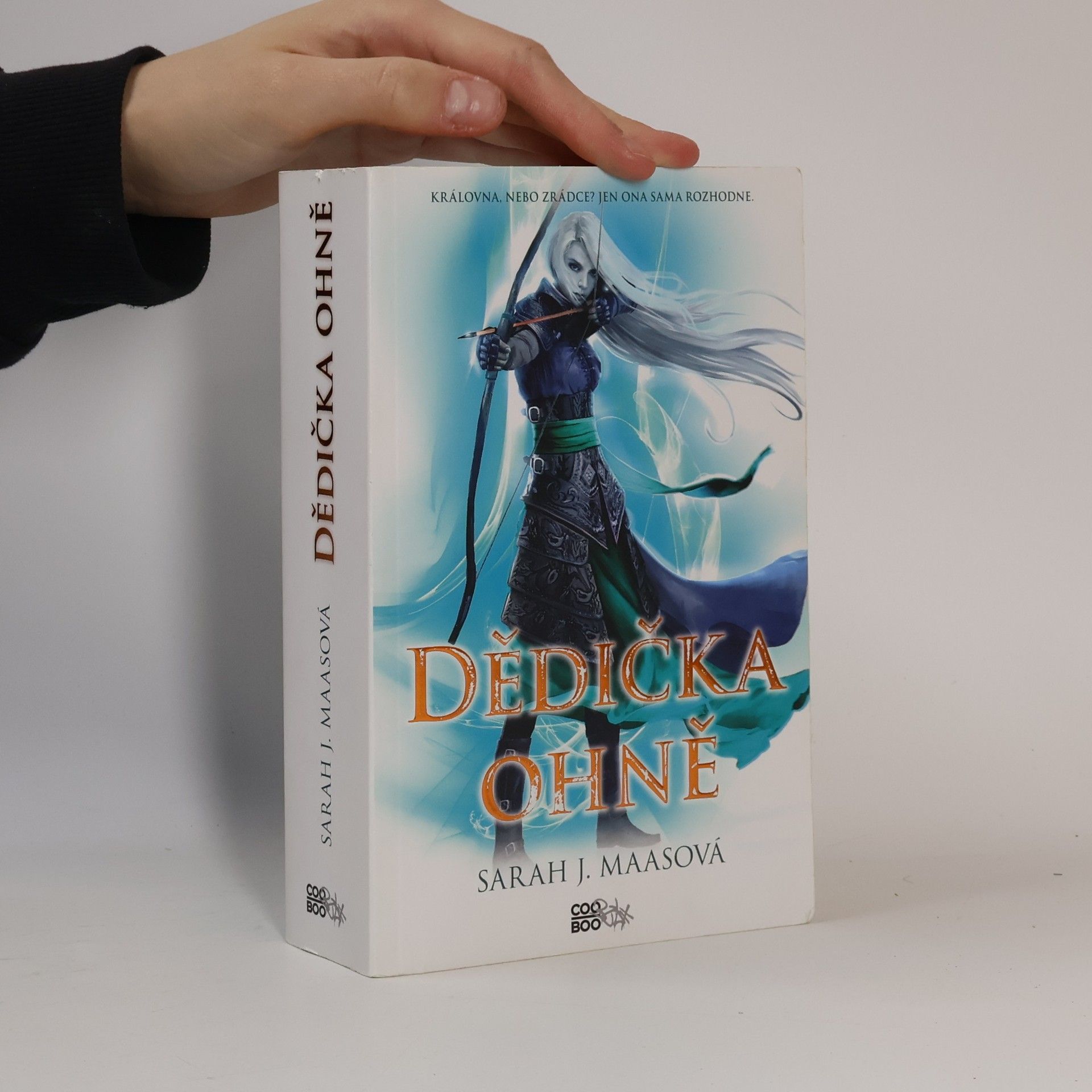 Sarah J. Maas Dědička ohně