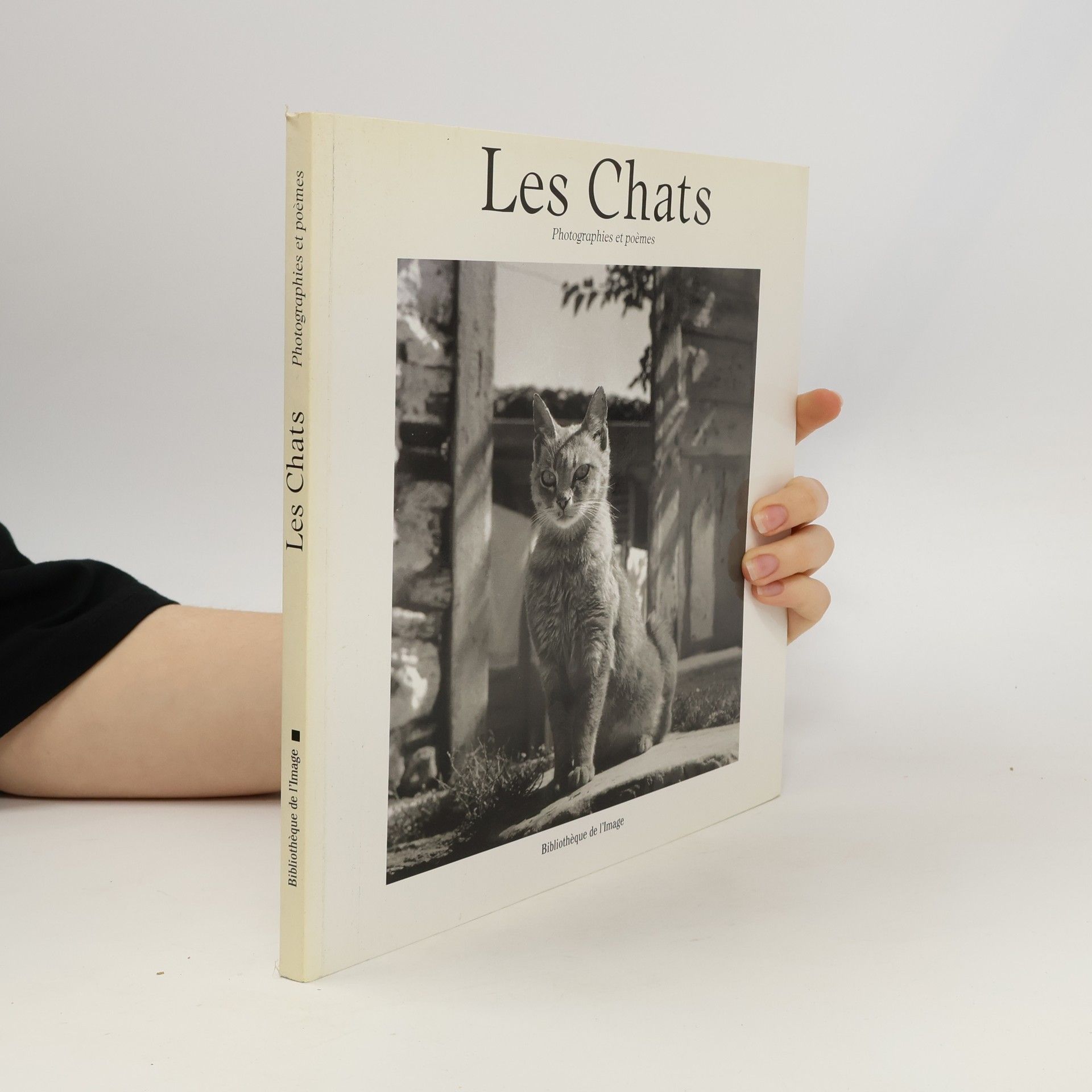 Alessandra Scarpa Les Chats