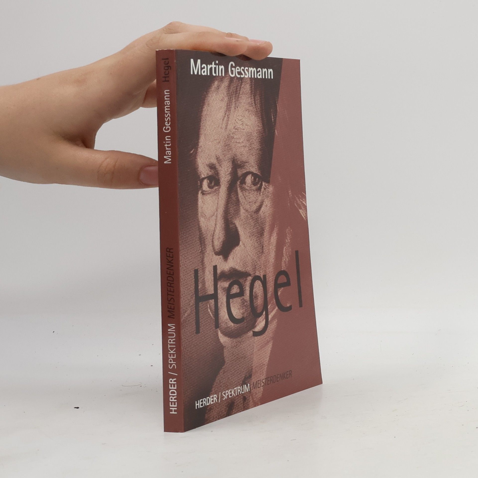 Martin Gessmann Hegel
