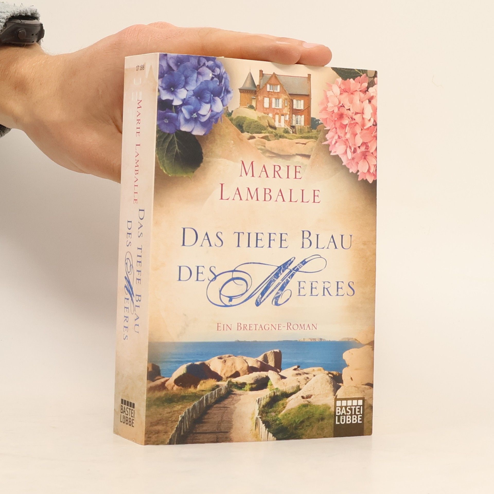 Anne Jacobs Das tiefe Blau des Meeres