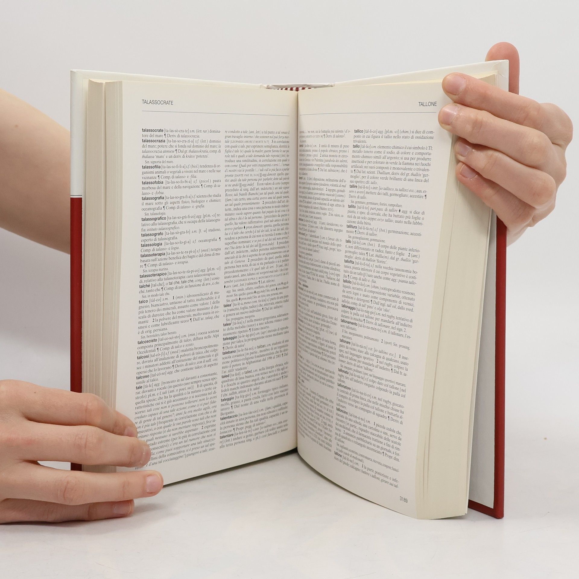 Autores varios l'Enciclopedia. Dizionario di Italiano 24. Rovi-Z