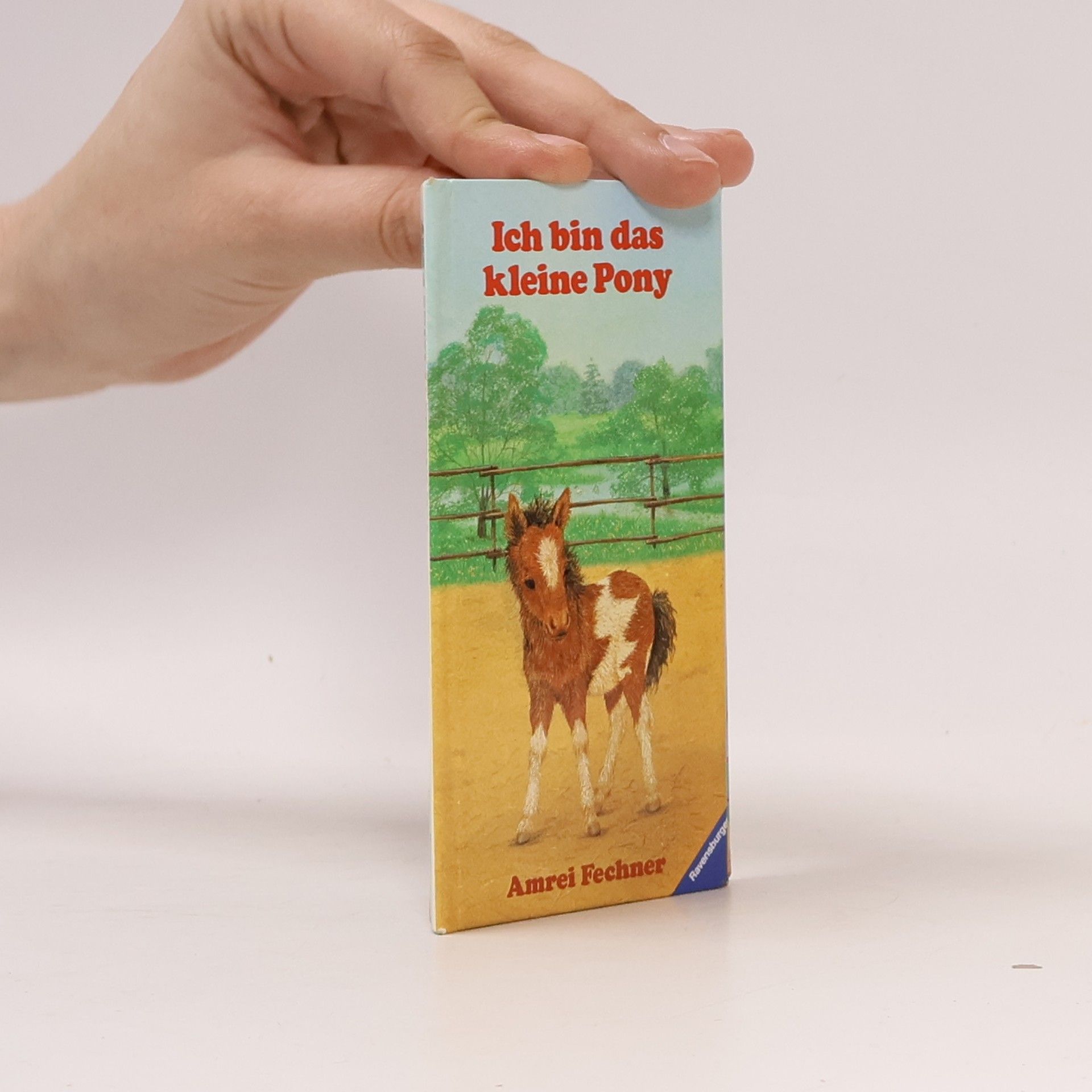 Amrei Fechner Ich bin das kleine Pony