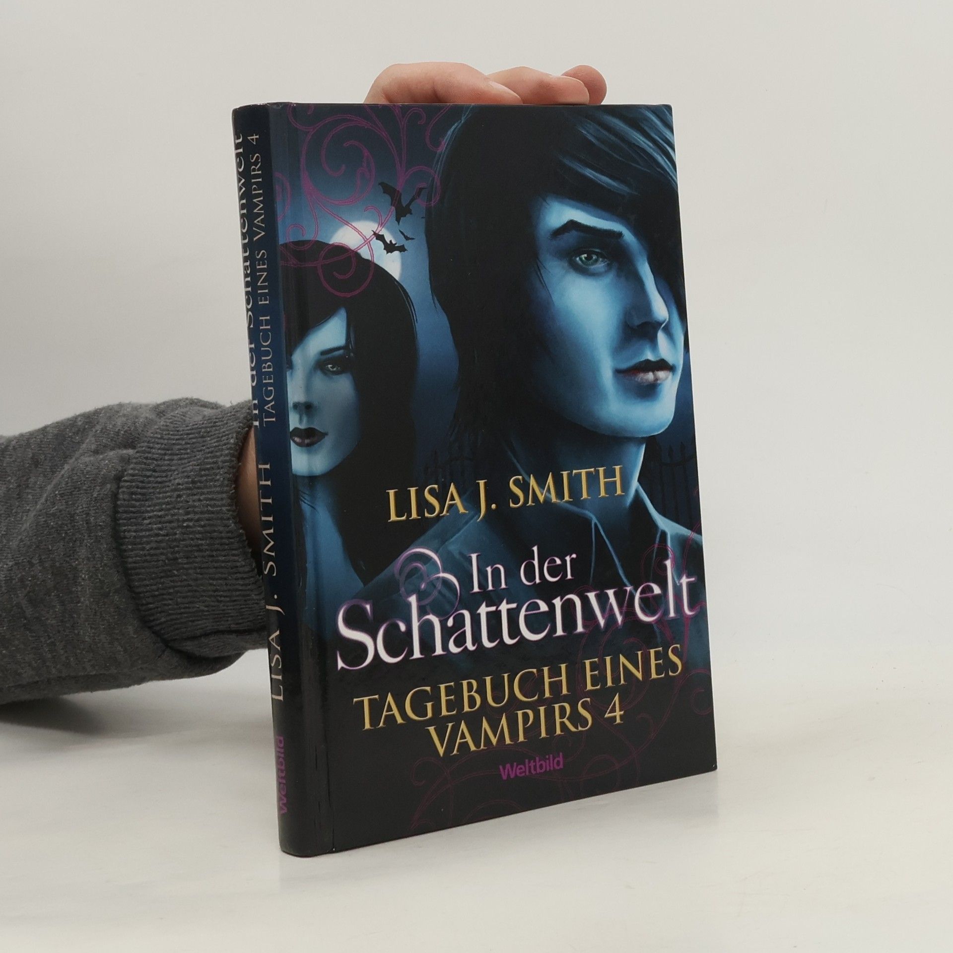 Tagebuch eines Vampirs 4. In der Schattenwelt