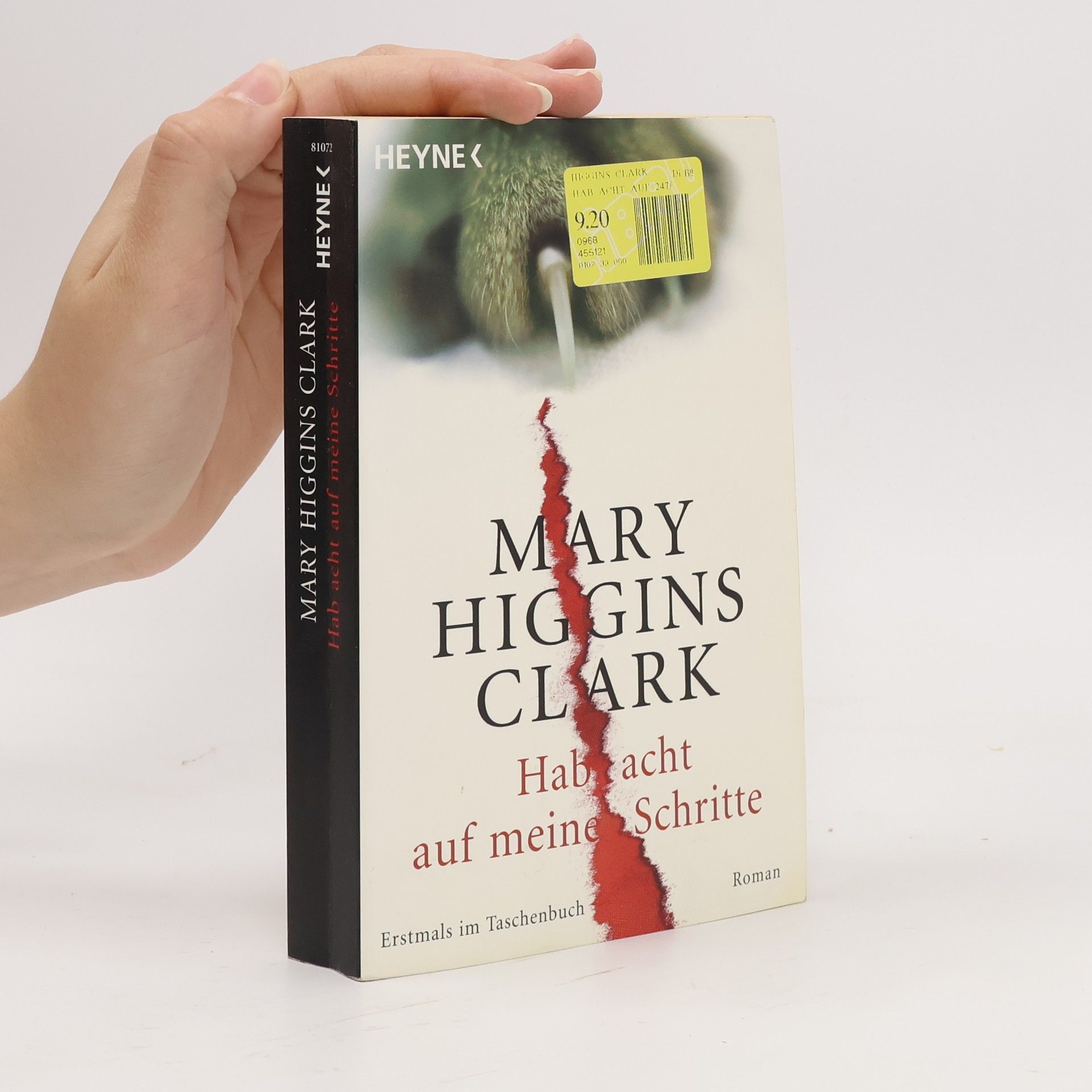 Mary Higgins Clark Hab acht auf meine Schritte