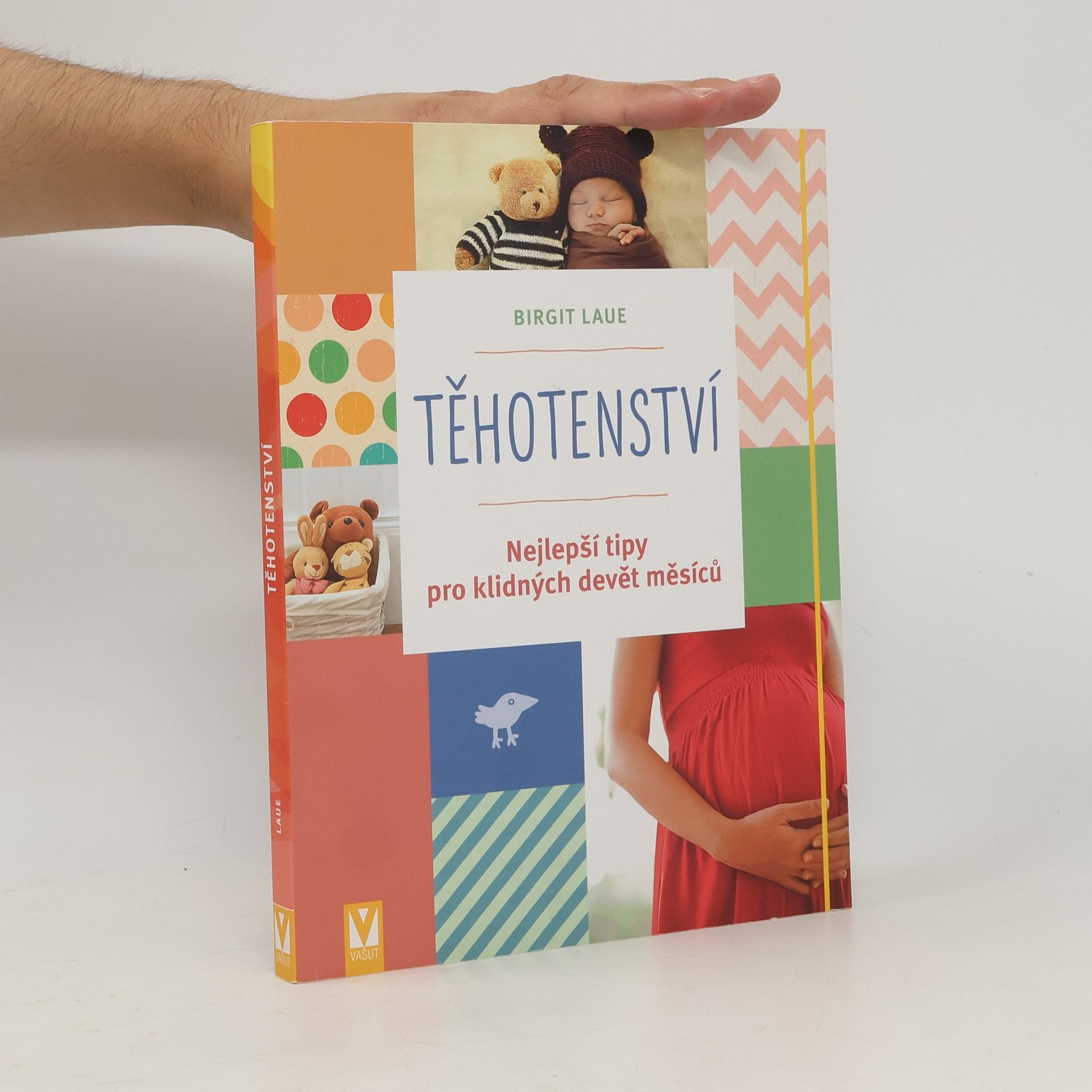 Birgit Laue Těhotenství : nejlepší tipy pro klidných devět měsíců