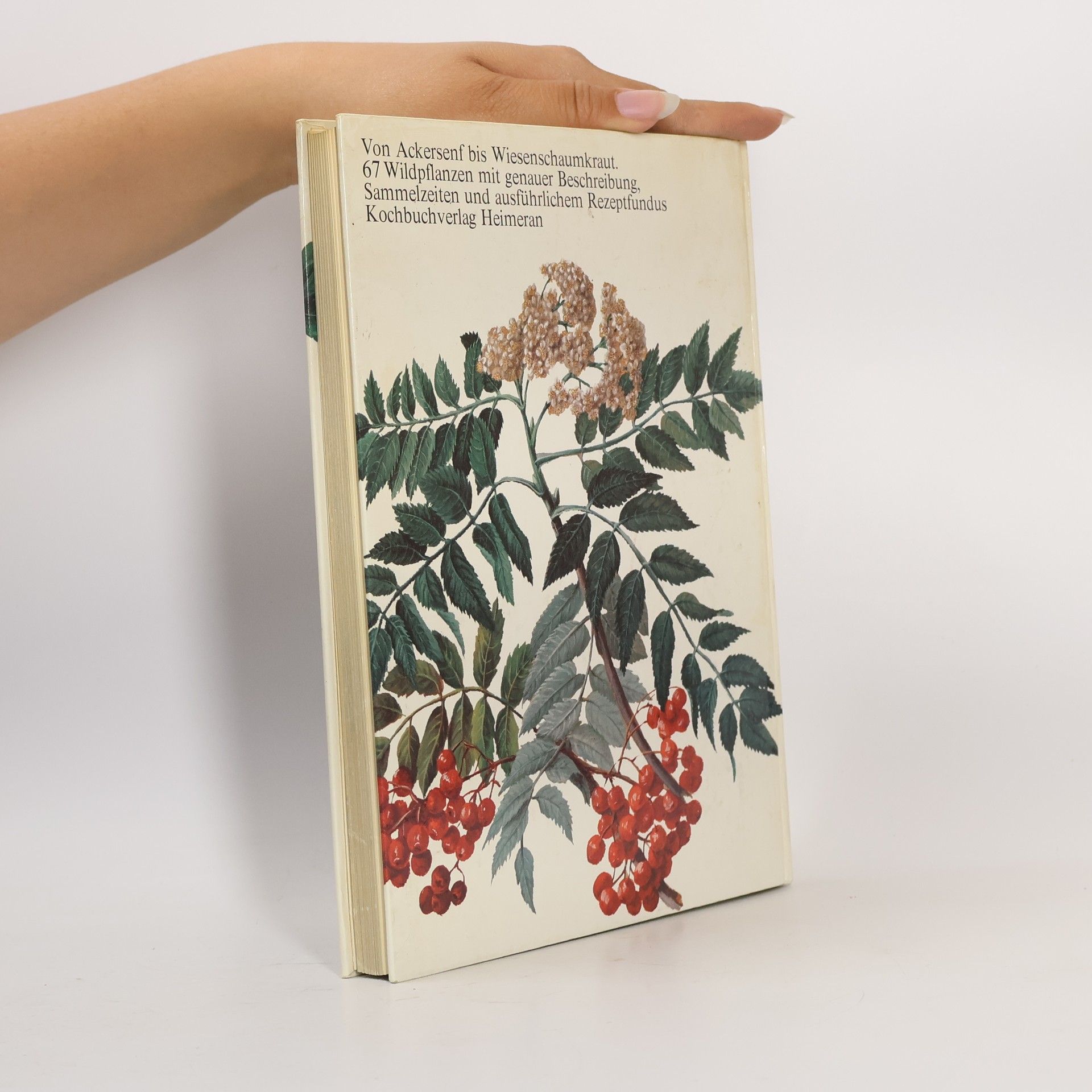 Eve Marie Helm Feld-, Wald- und Wiesenkochbuch