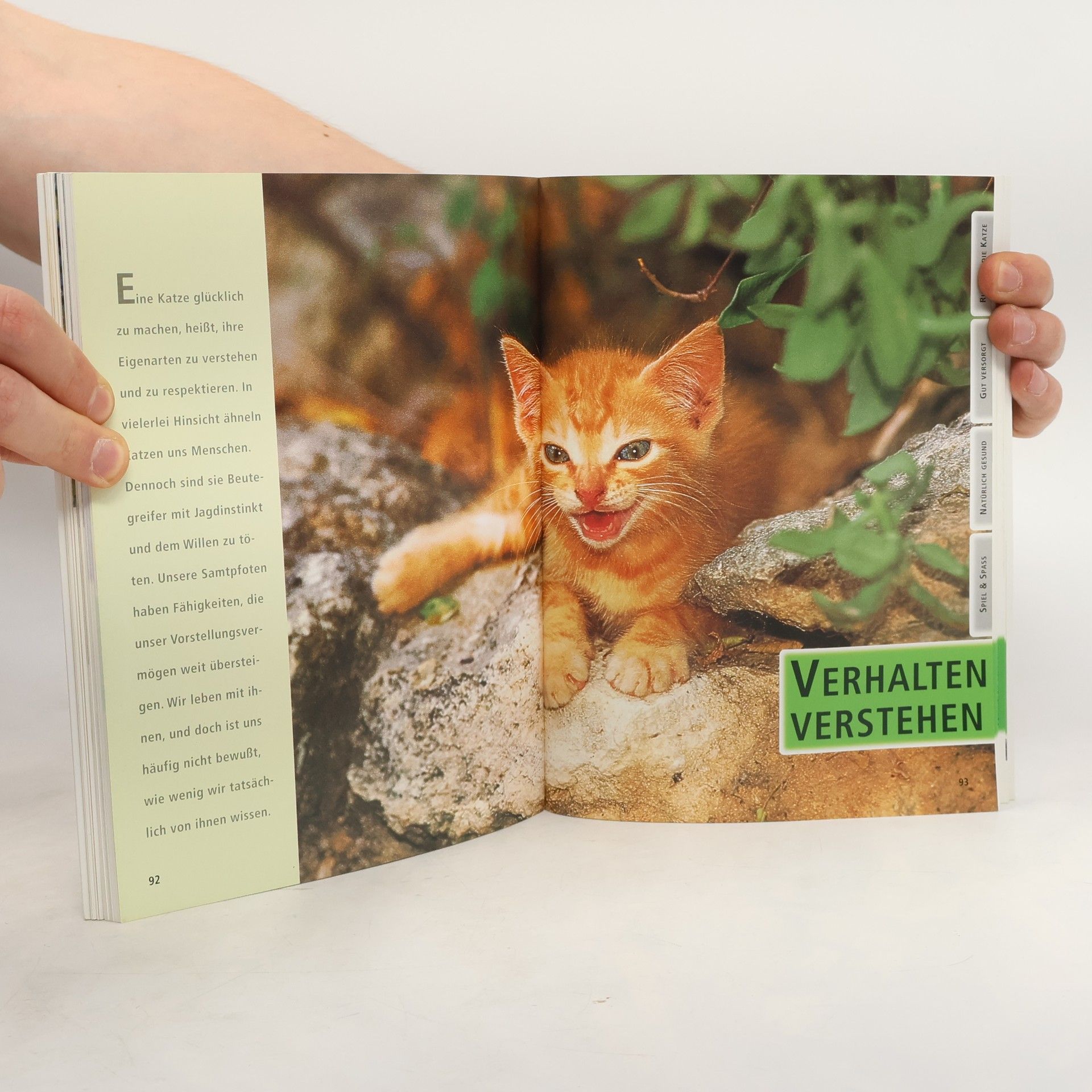 Isabella Lauer Meine Katze