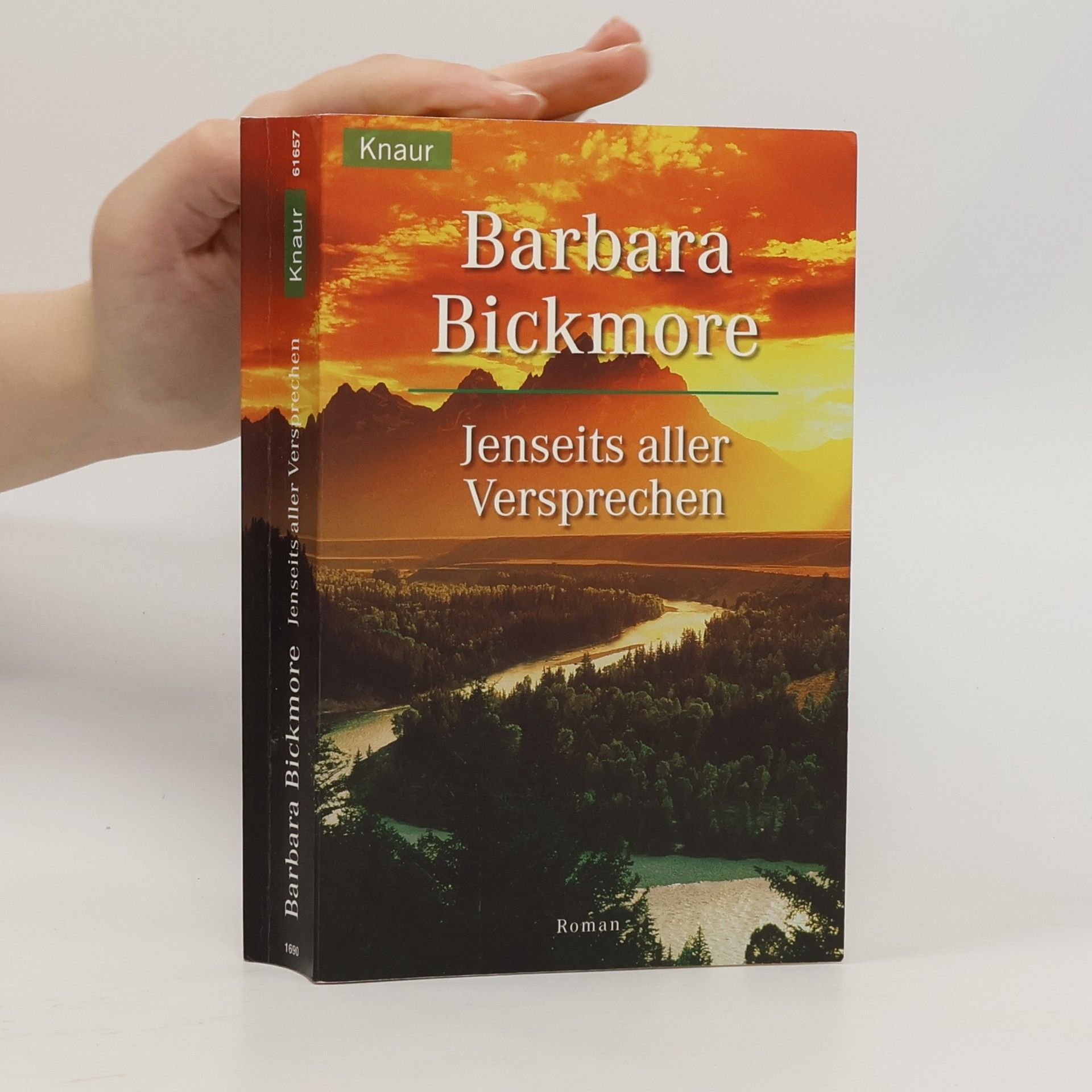 Barbara Bickmore Jenseits aller Versprechen