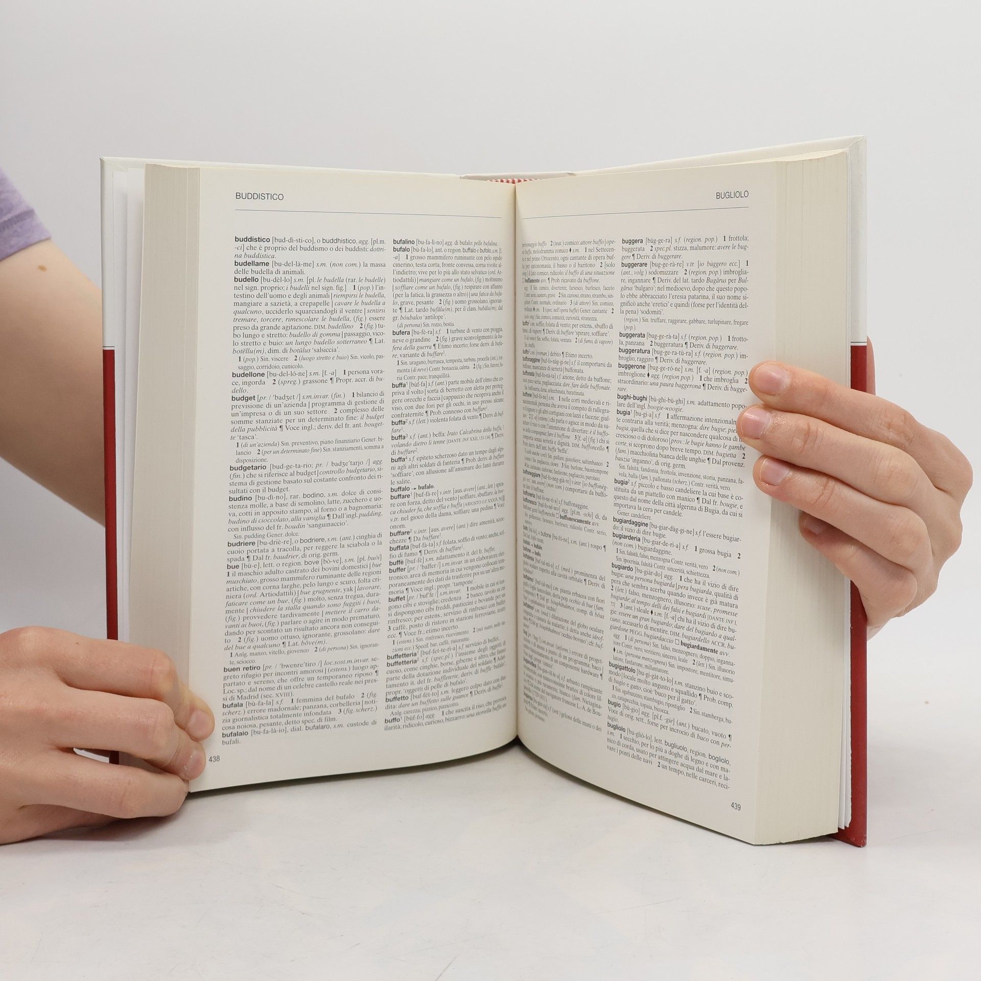 Kolektiv autorů l'Enciclopedia. Dizionario di Italiano 21. A-Dirim
