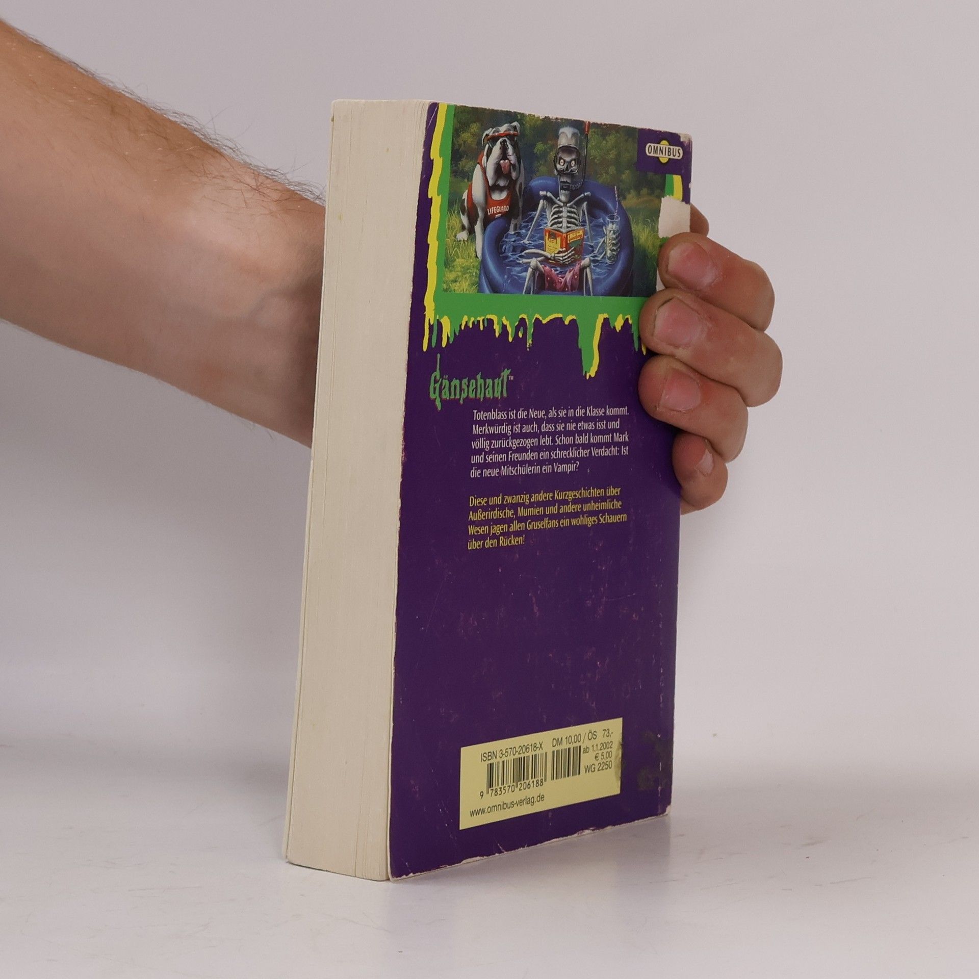 R. L. Stine Gänsehaut. Schauergeschichten