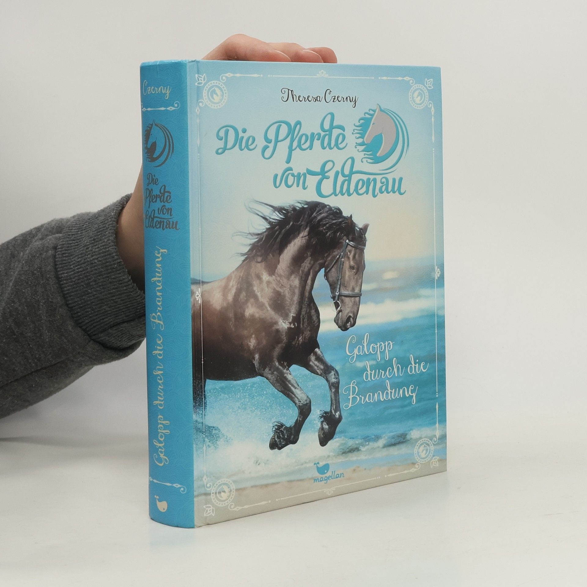 Galopp durch die Brandung