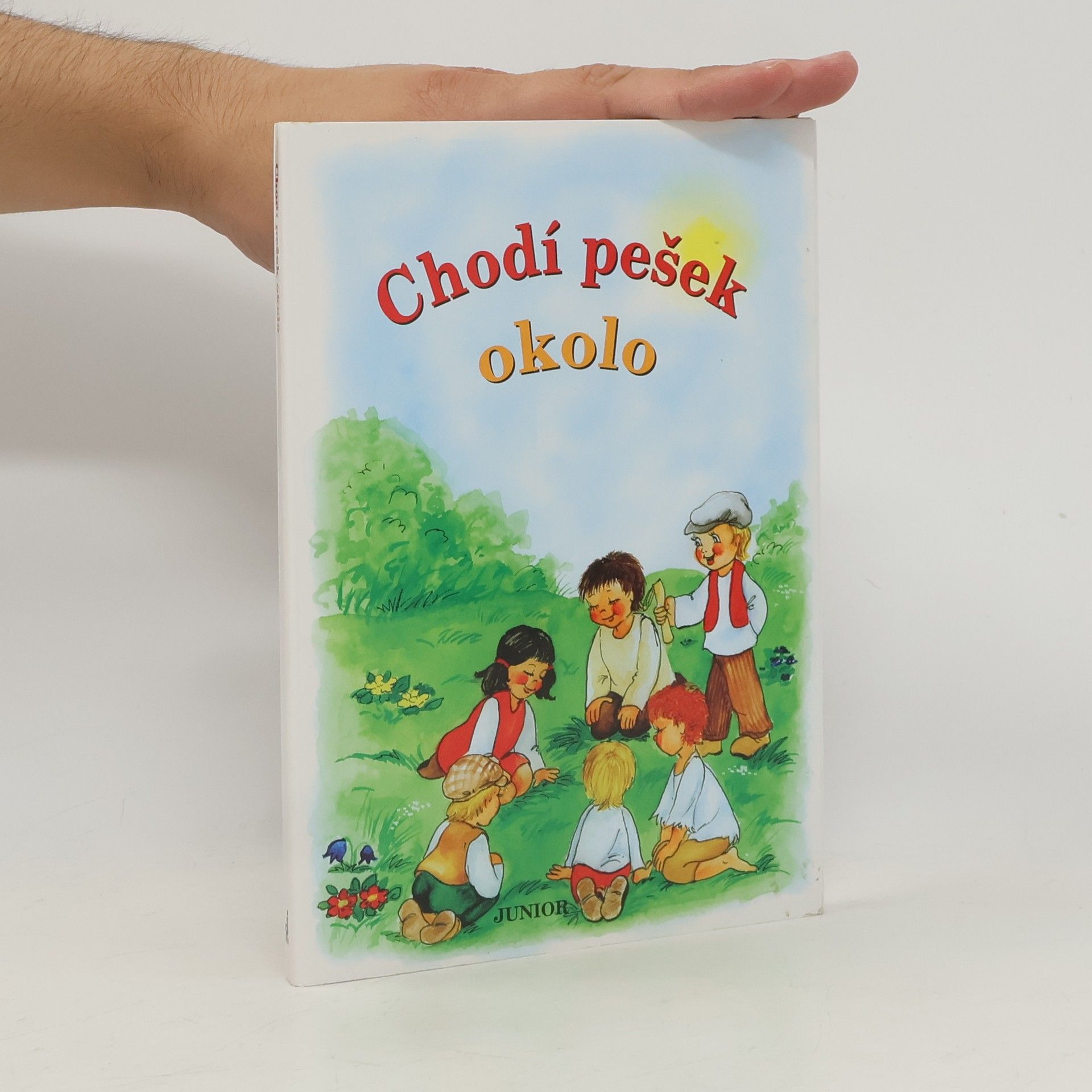 Vladimíra Vopičková Chodí pešek okolo (leporelo)