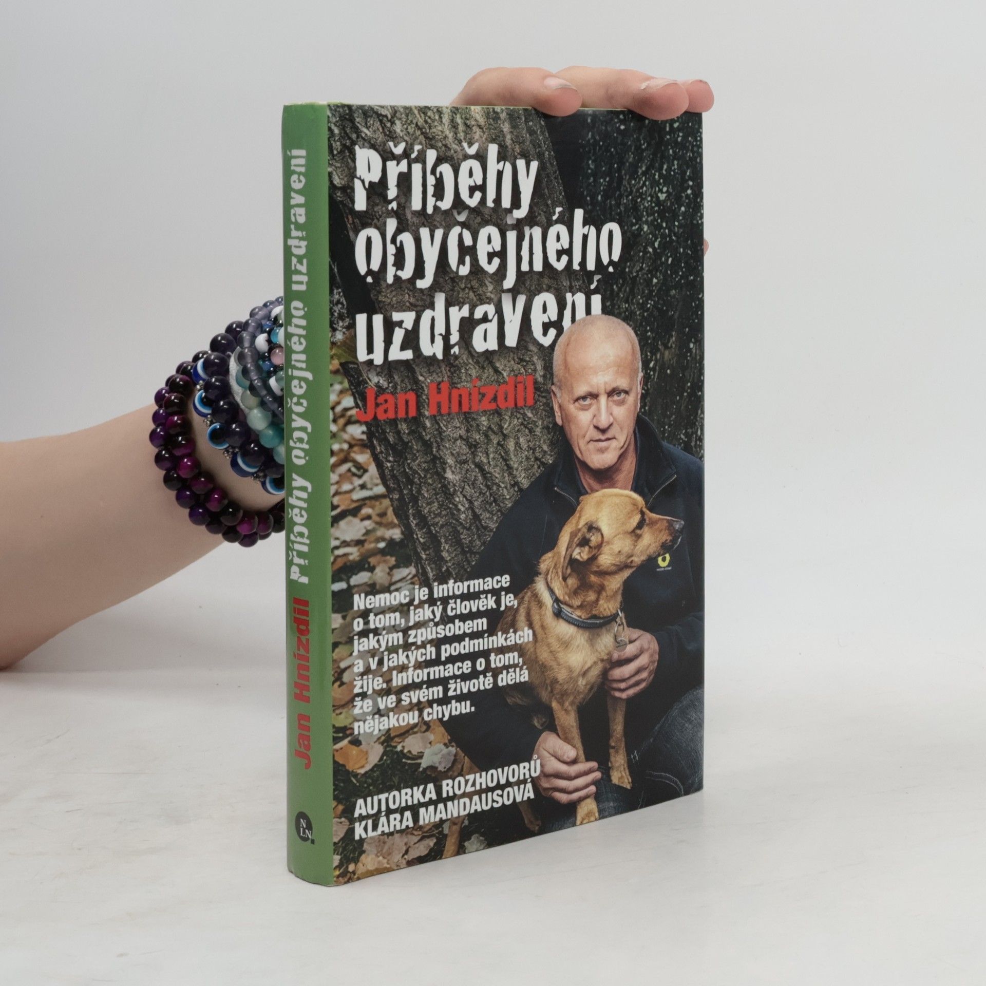 Jan Hnízdil Příběhy obyčejného uzdravení