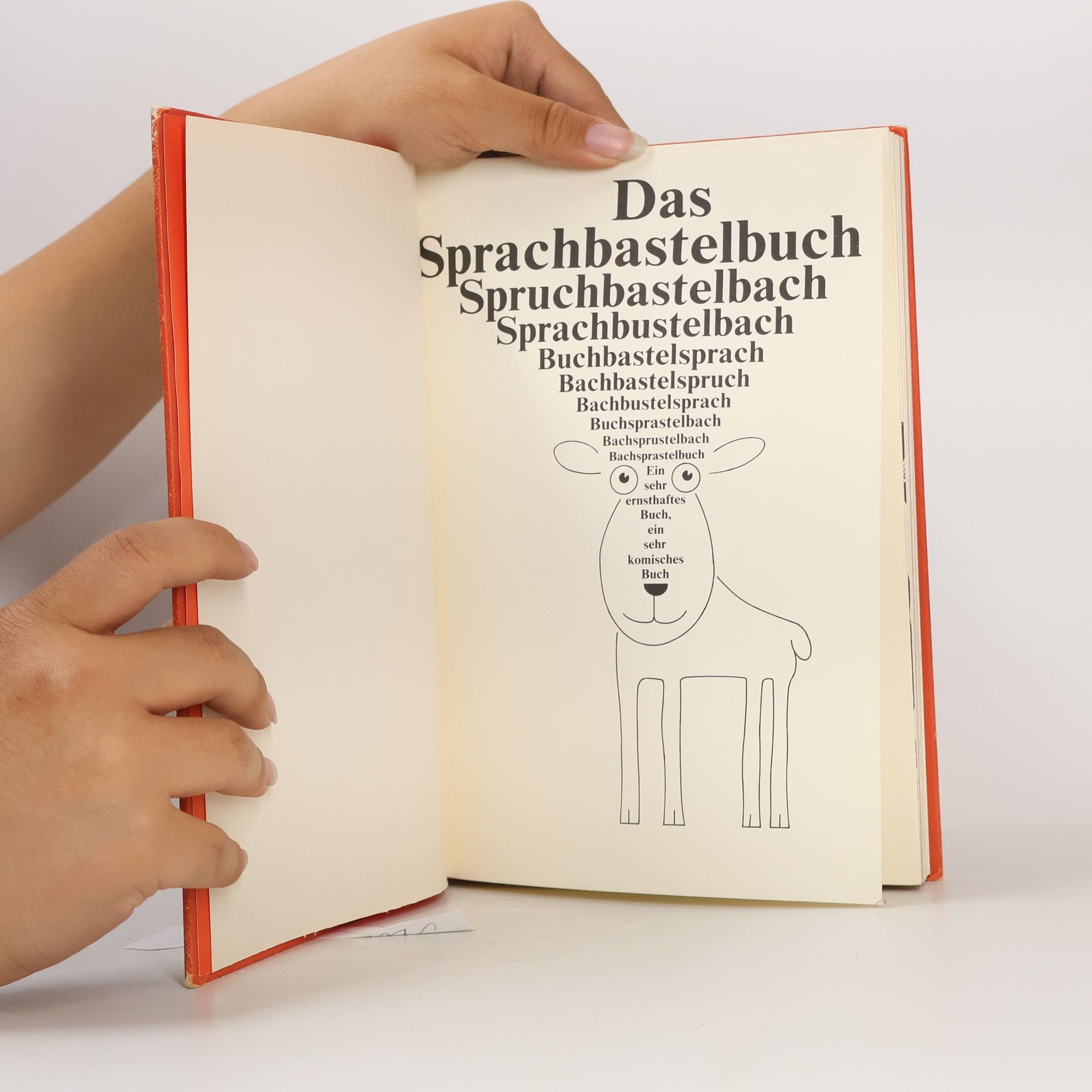 Gerri Zotter Das Sprachbastelbuch.