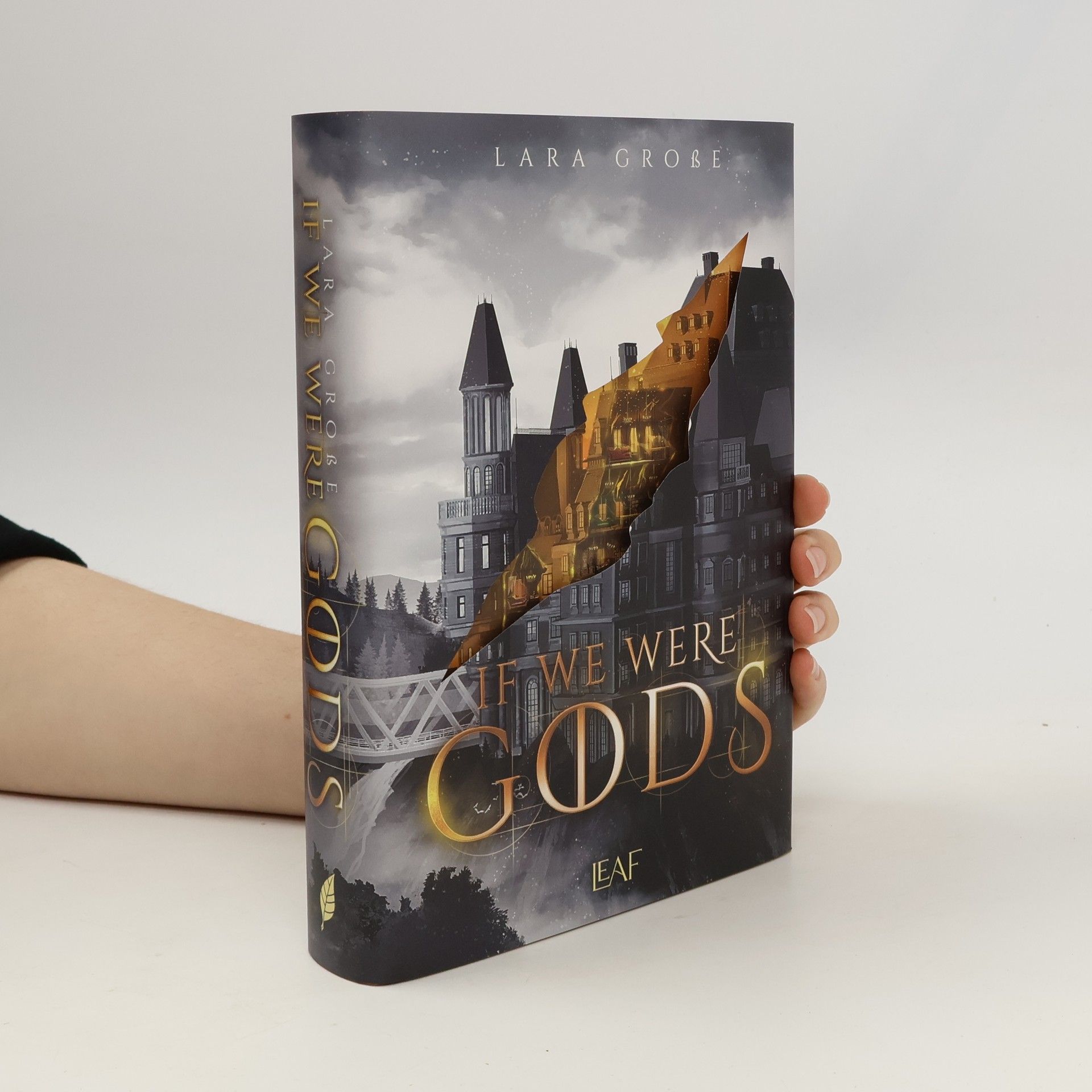 Lara Große If We Were Gods