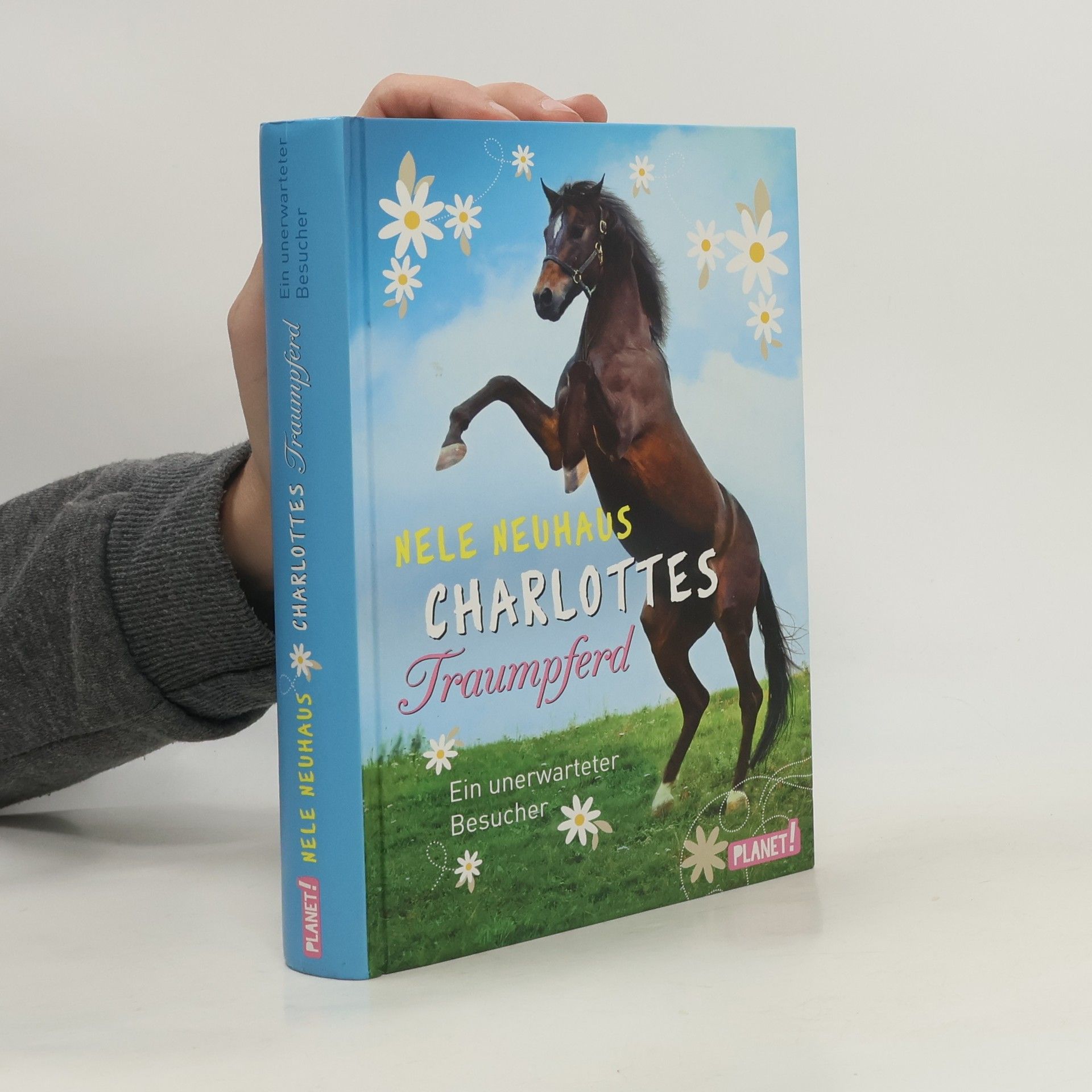 Charlottes Traumpferd. Ein unerwarteter Besucher