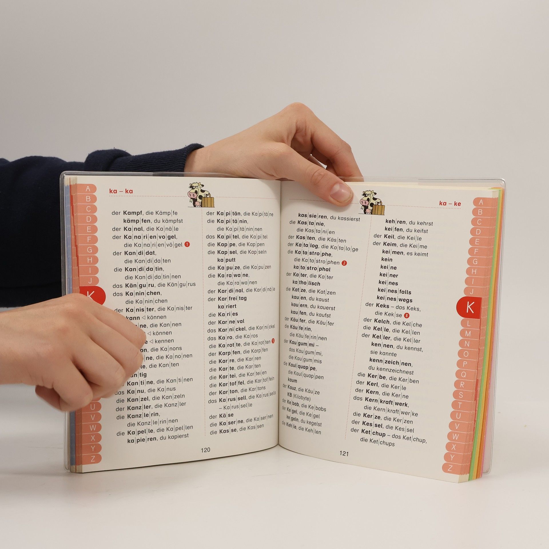 Oldenbourg Schulbuchverlag Wörterbuch mit vereinfachter Ausgangsschrift