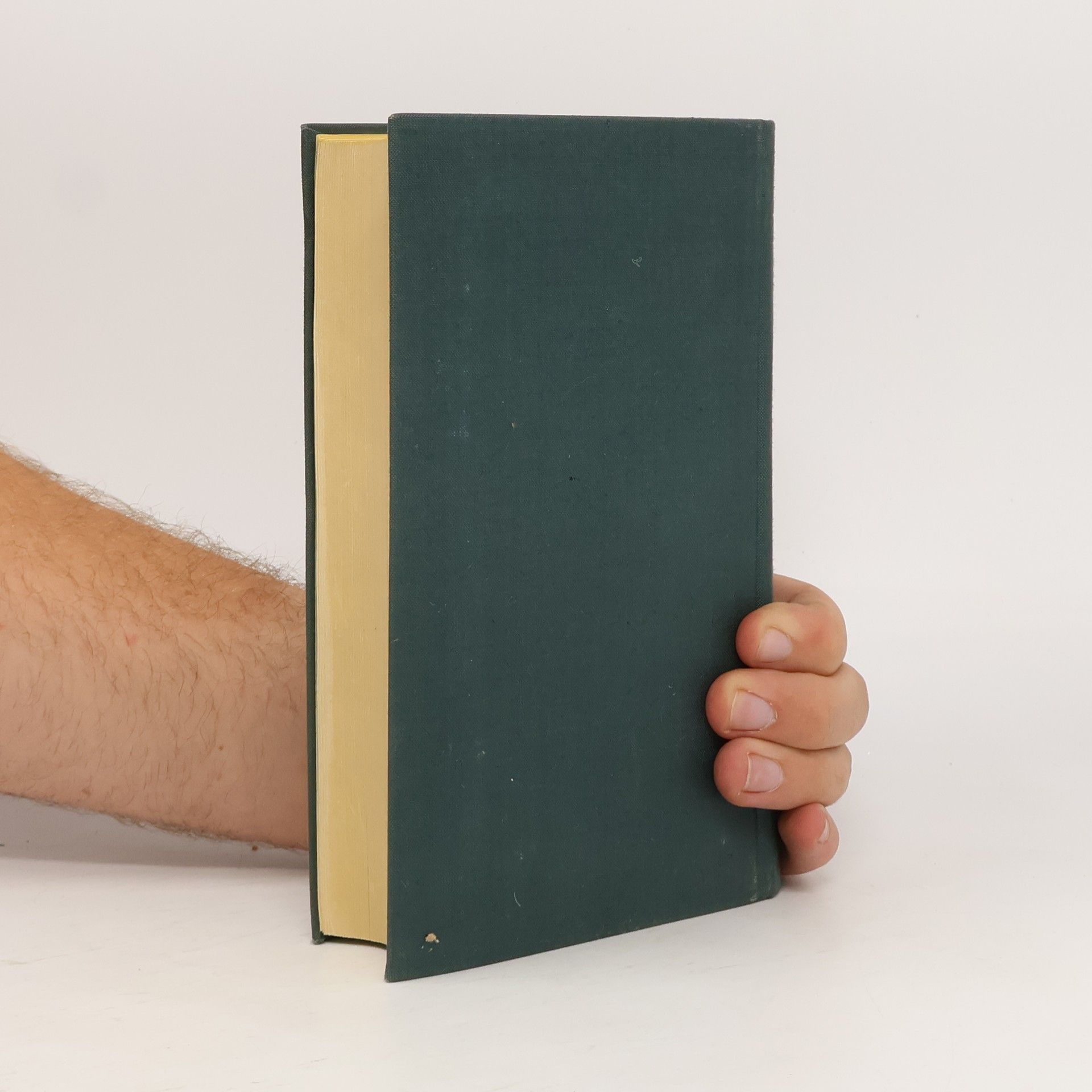 Thomas Mann Gesammelte Werke. Zweiter Band
