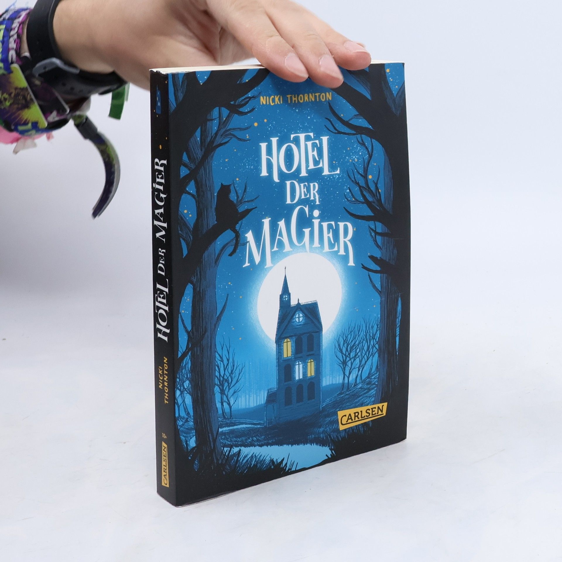 Nicki Thornton Hotel der Magier (Hotel der Magier 1)