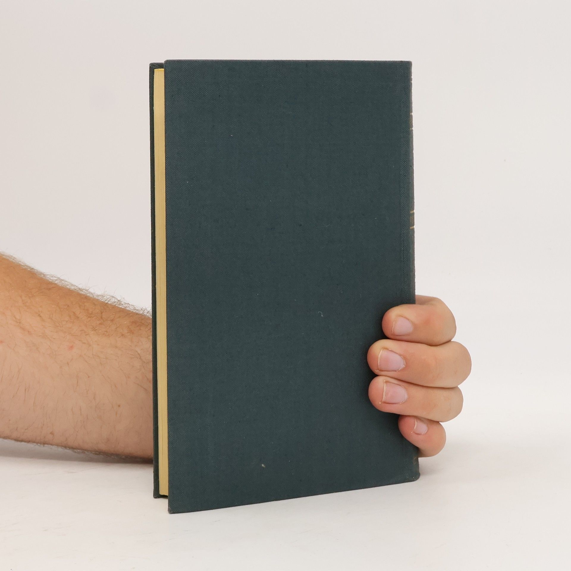 Thomas Mann Gesammelte Werke 4