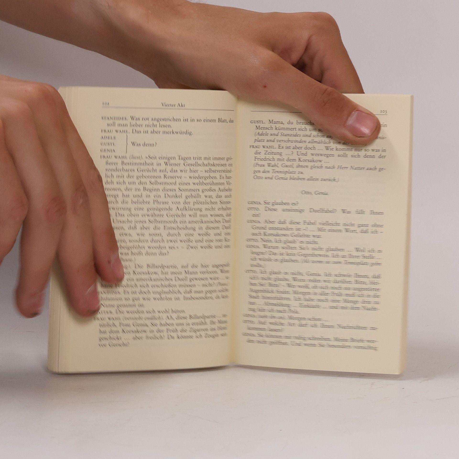 Arthur Schnitzler Das weite Land