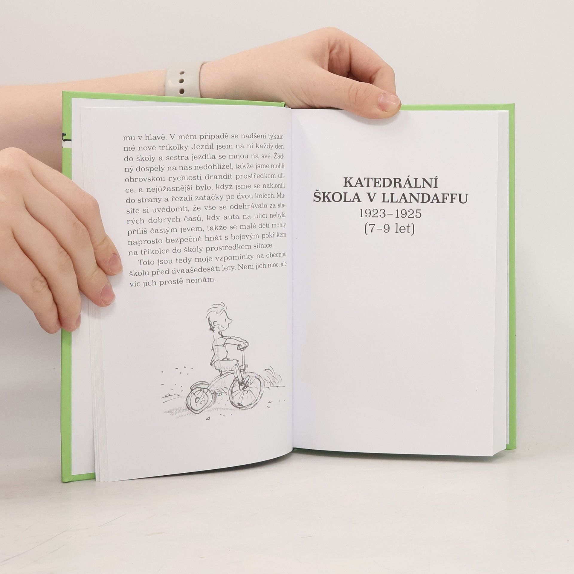 Roald Dahl Kluk: Příběhy z dětství