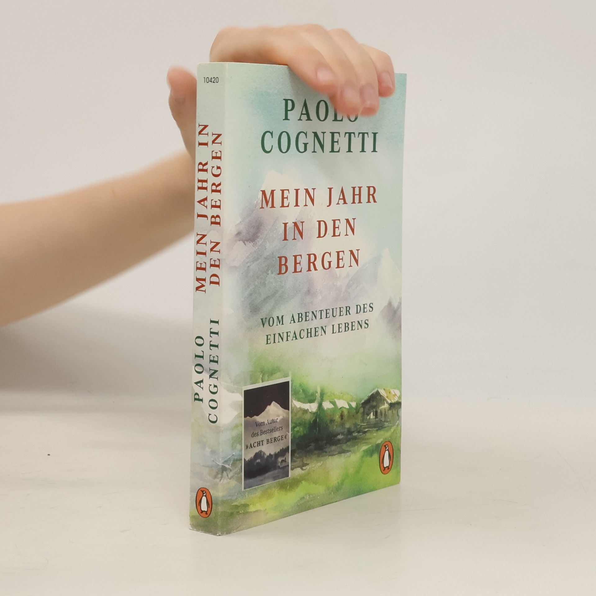 Paolo Cognetti Mein Jahr in den Bergen