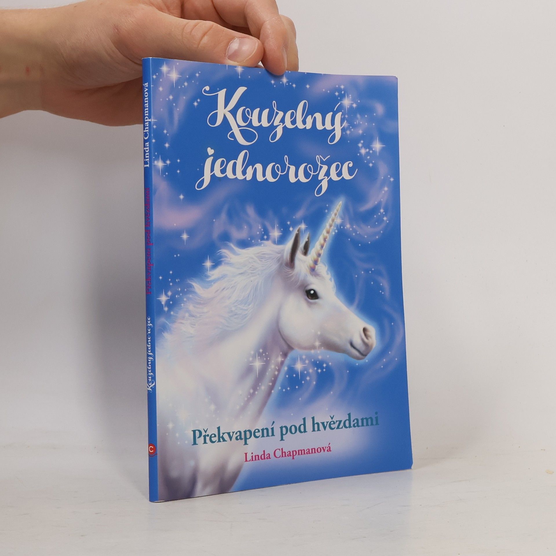 Linda Chapman Překvapení pod hvězdami
