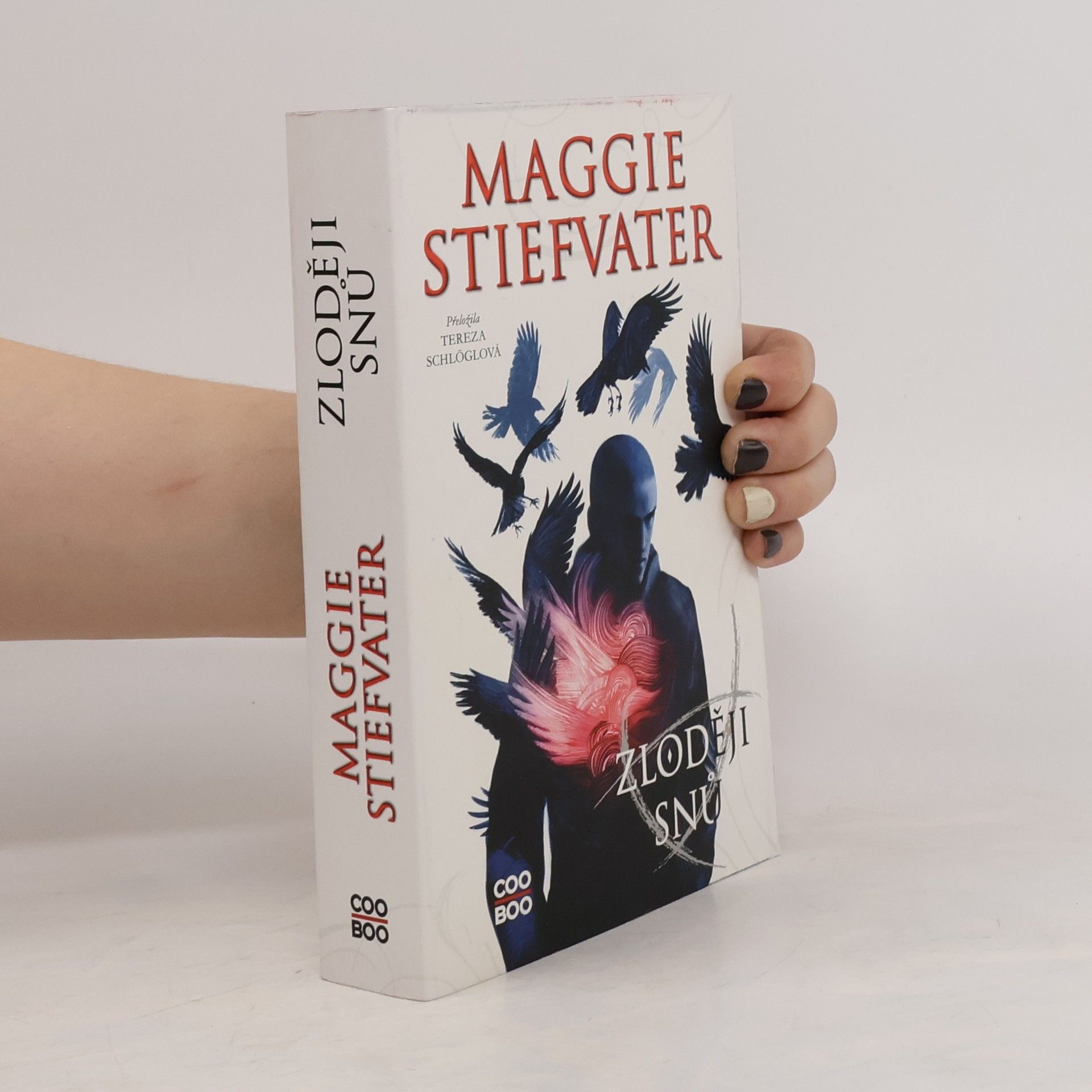Maggie Stiefvater Zloději snů