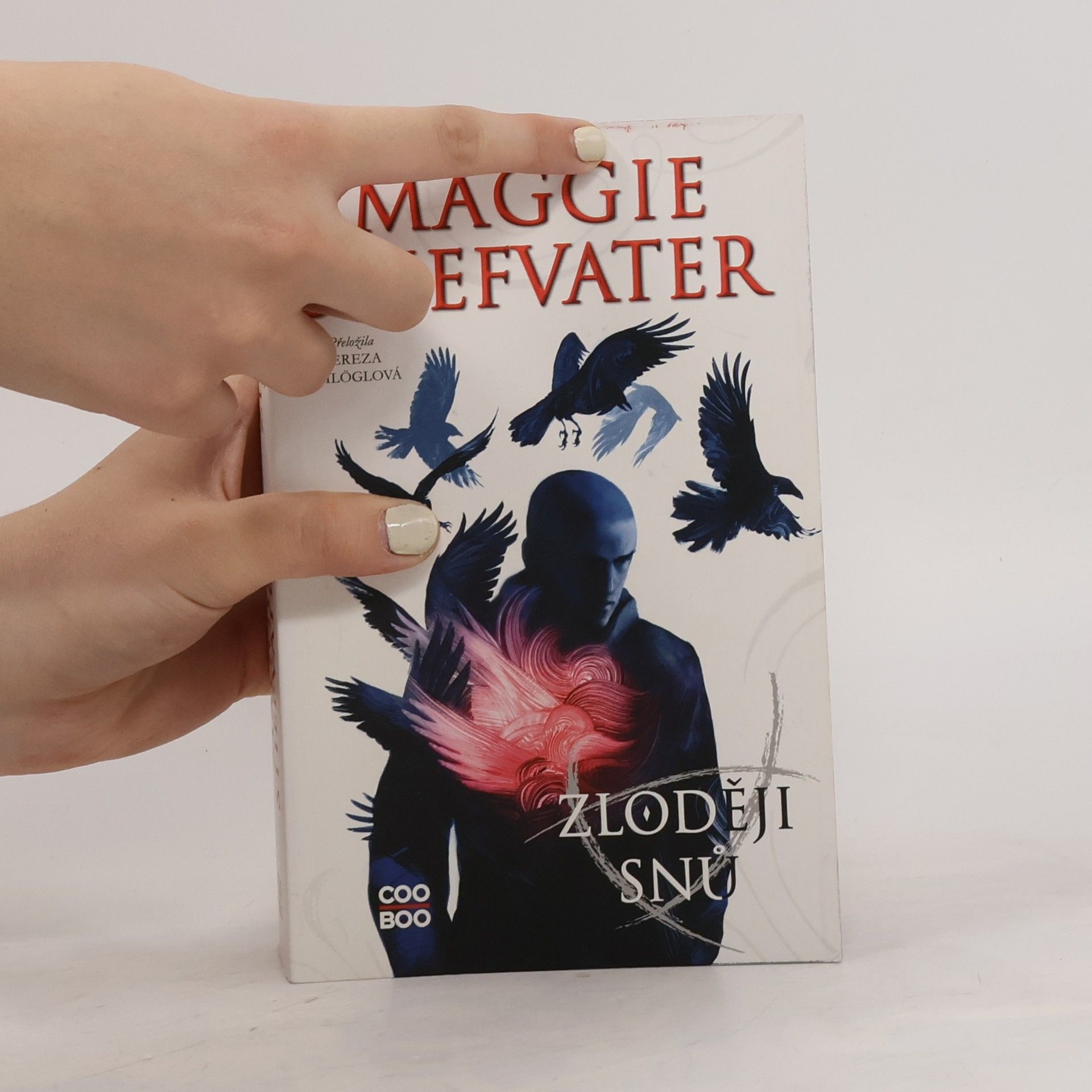 Maggie Stiefvater Zloději snů